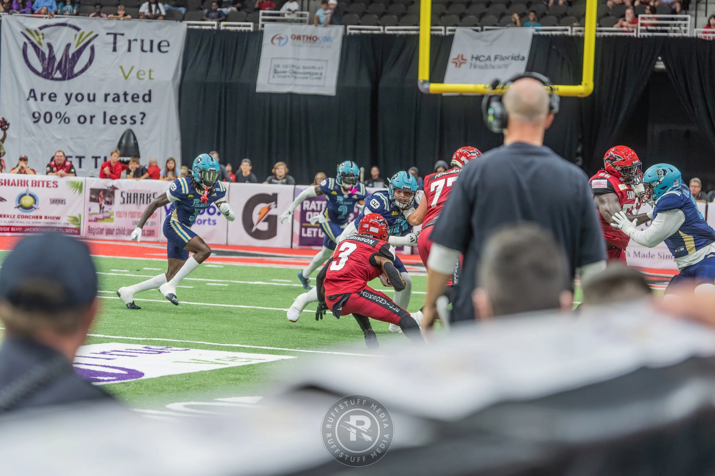 Sharks 260417-503.JPG