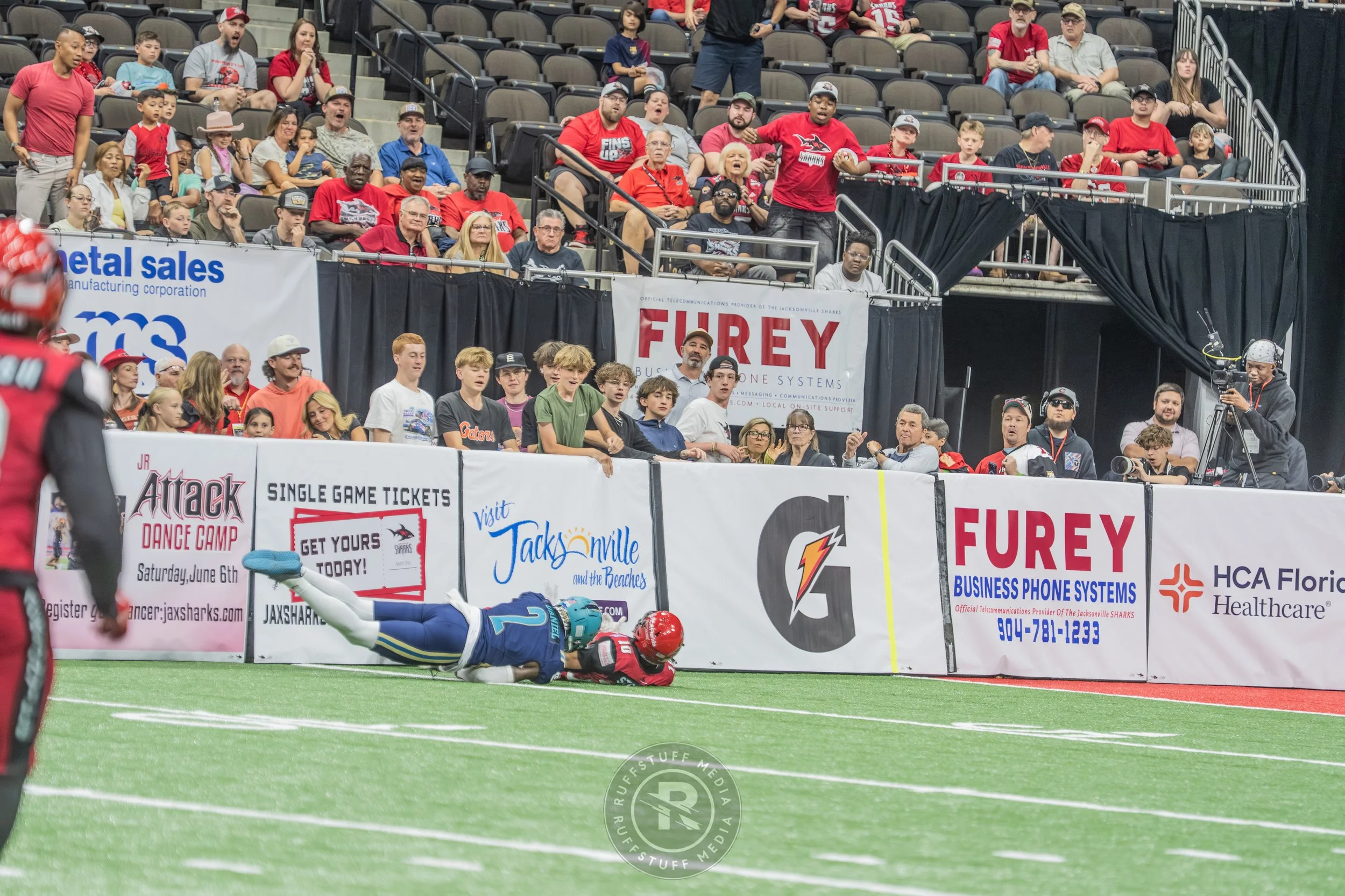 Sharks 260417-480.JPG