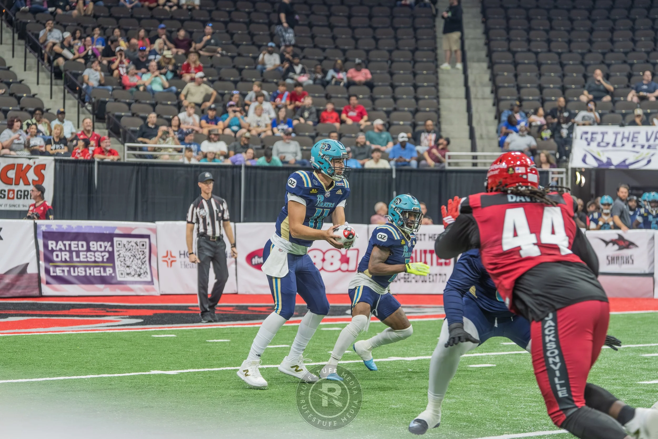 Sharks 260417-111.JPG