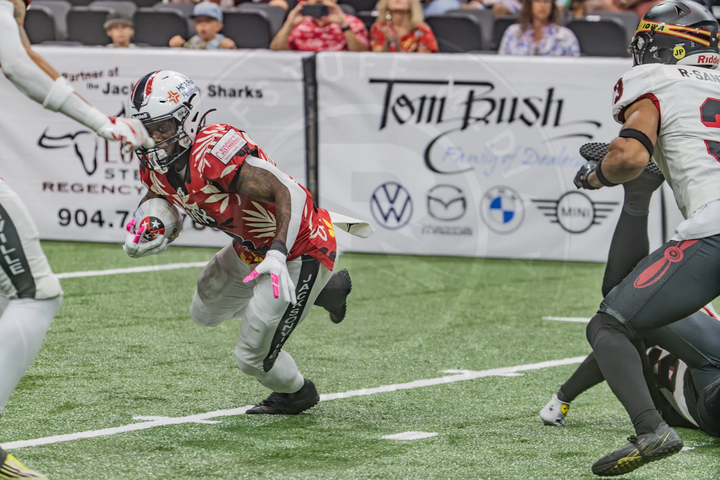 Sharks 260718-108.JPG