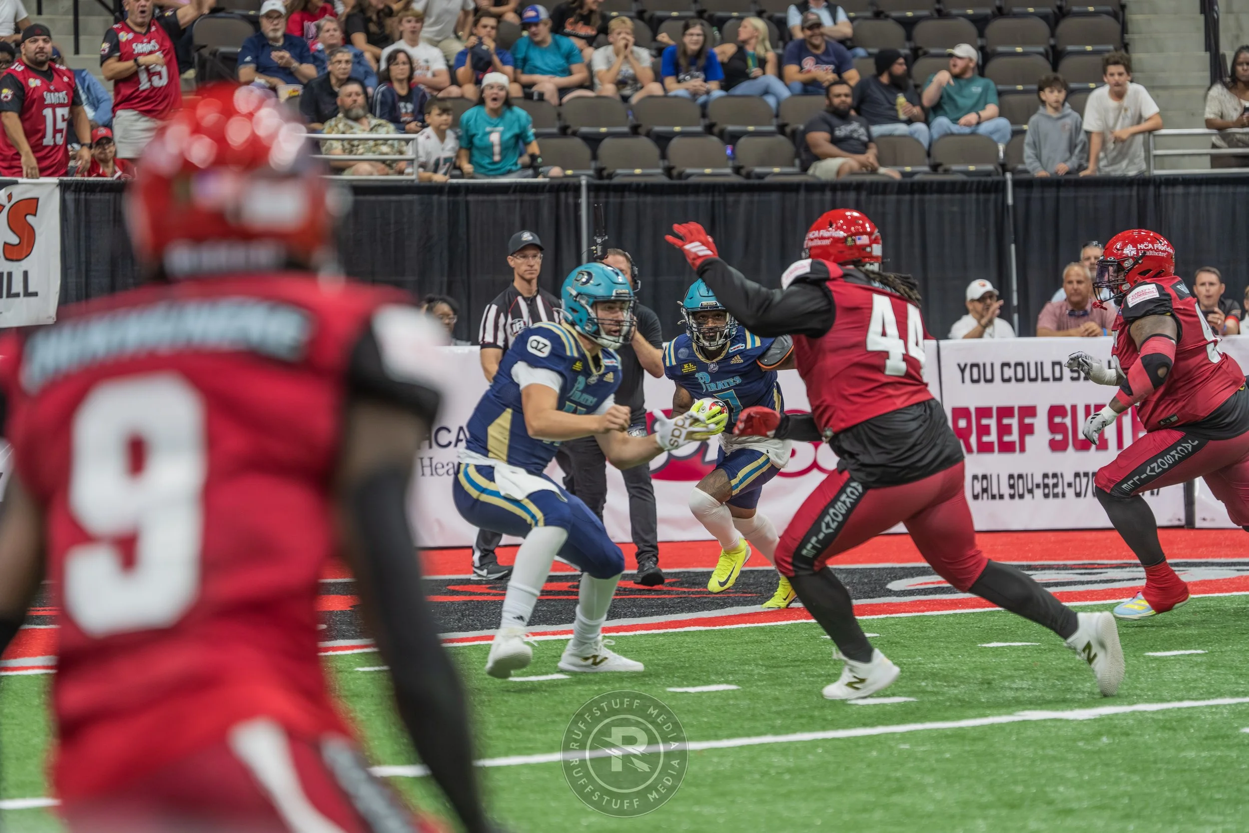 Sharks 260417-344.JPG