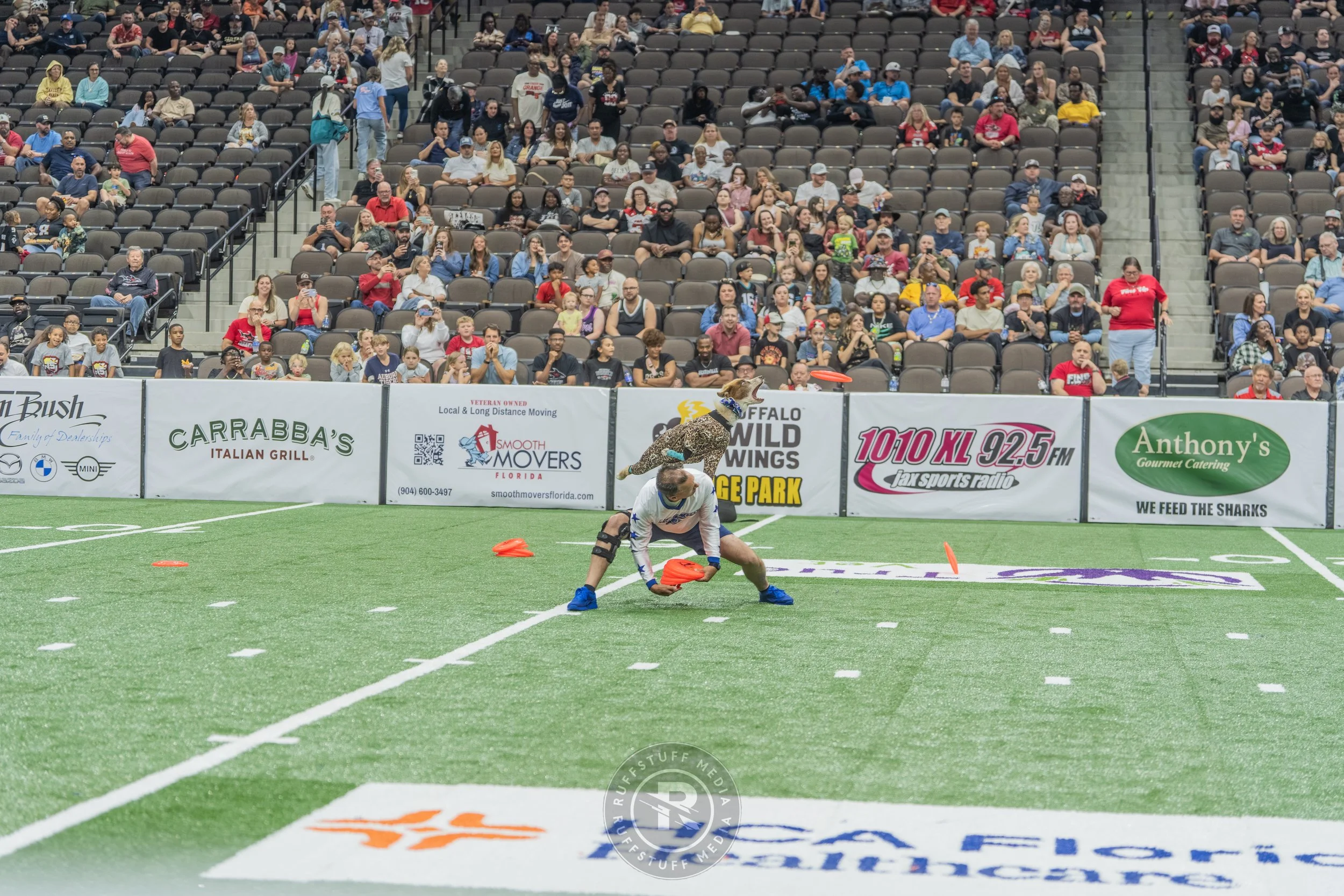 Sharks 260417-287.JPG