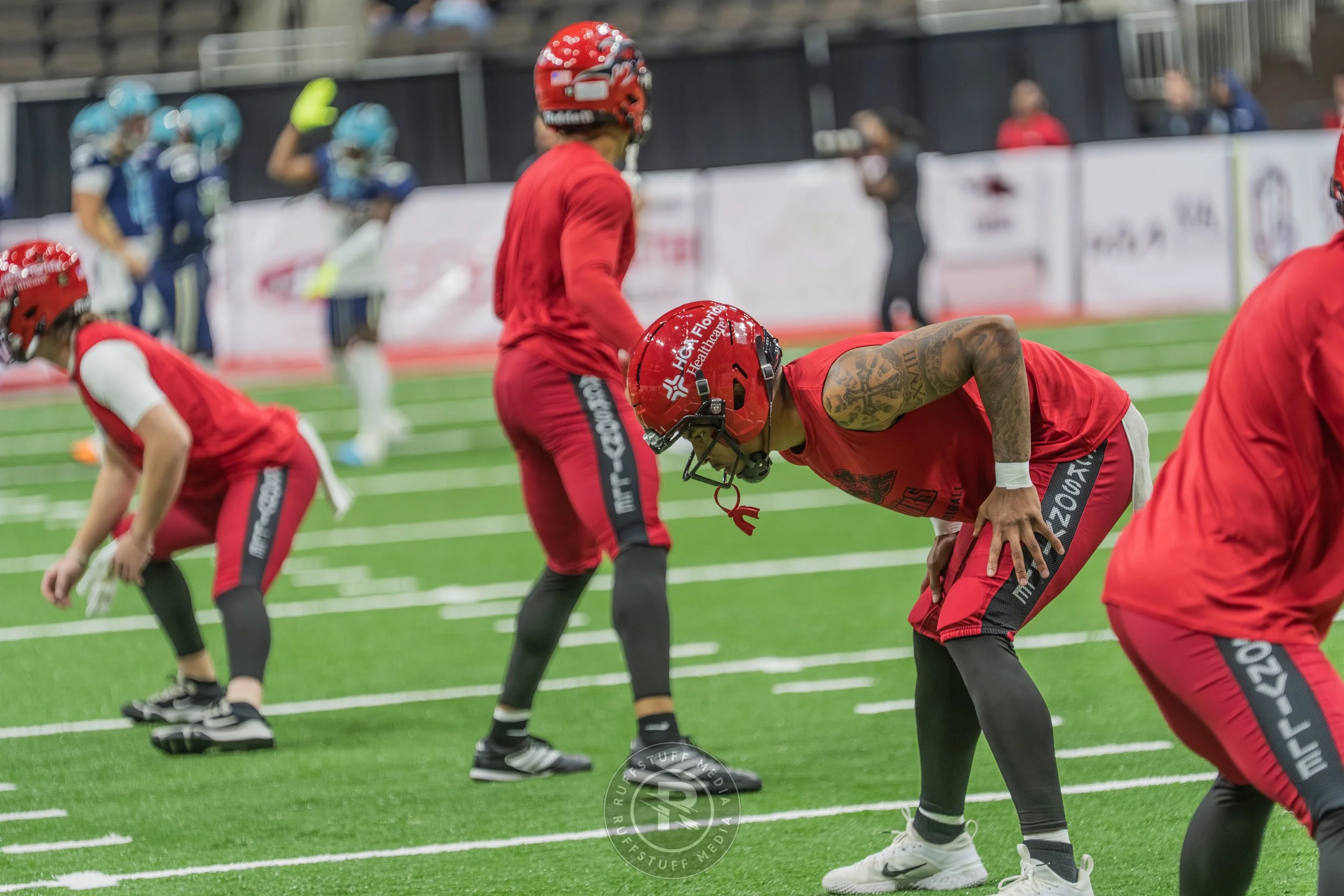 Sharks 260417-61.JPG