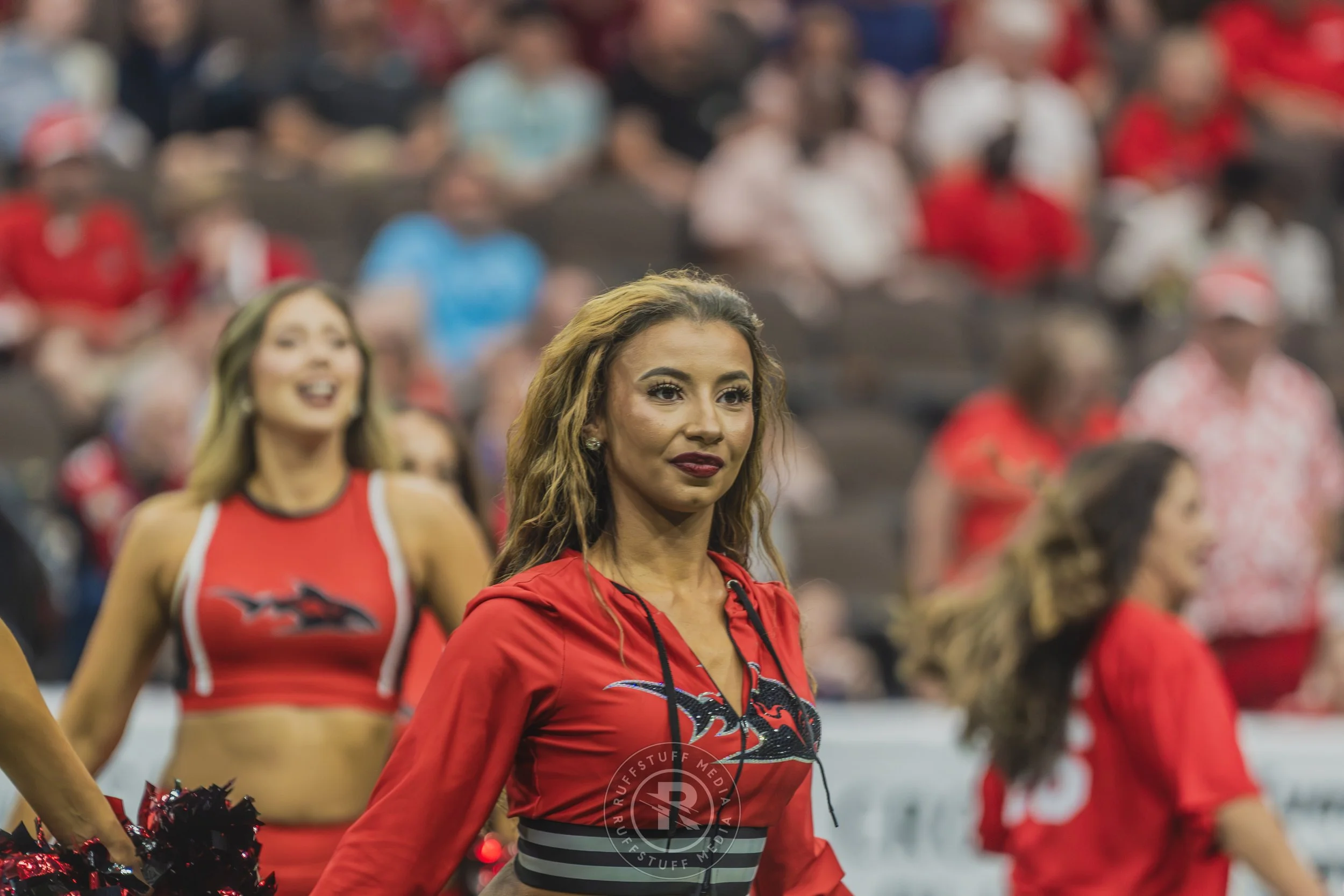 Sharks 260628-228.JPG