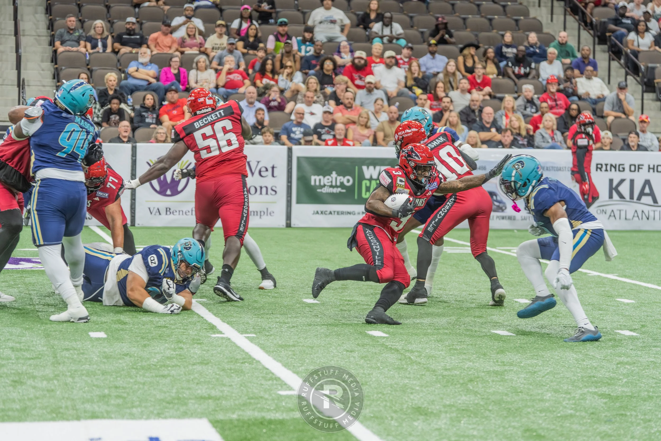 Sharks 260417-487.JPG