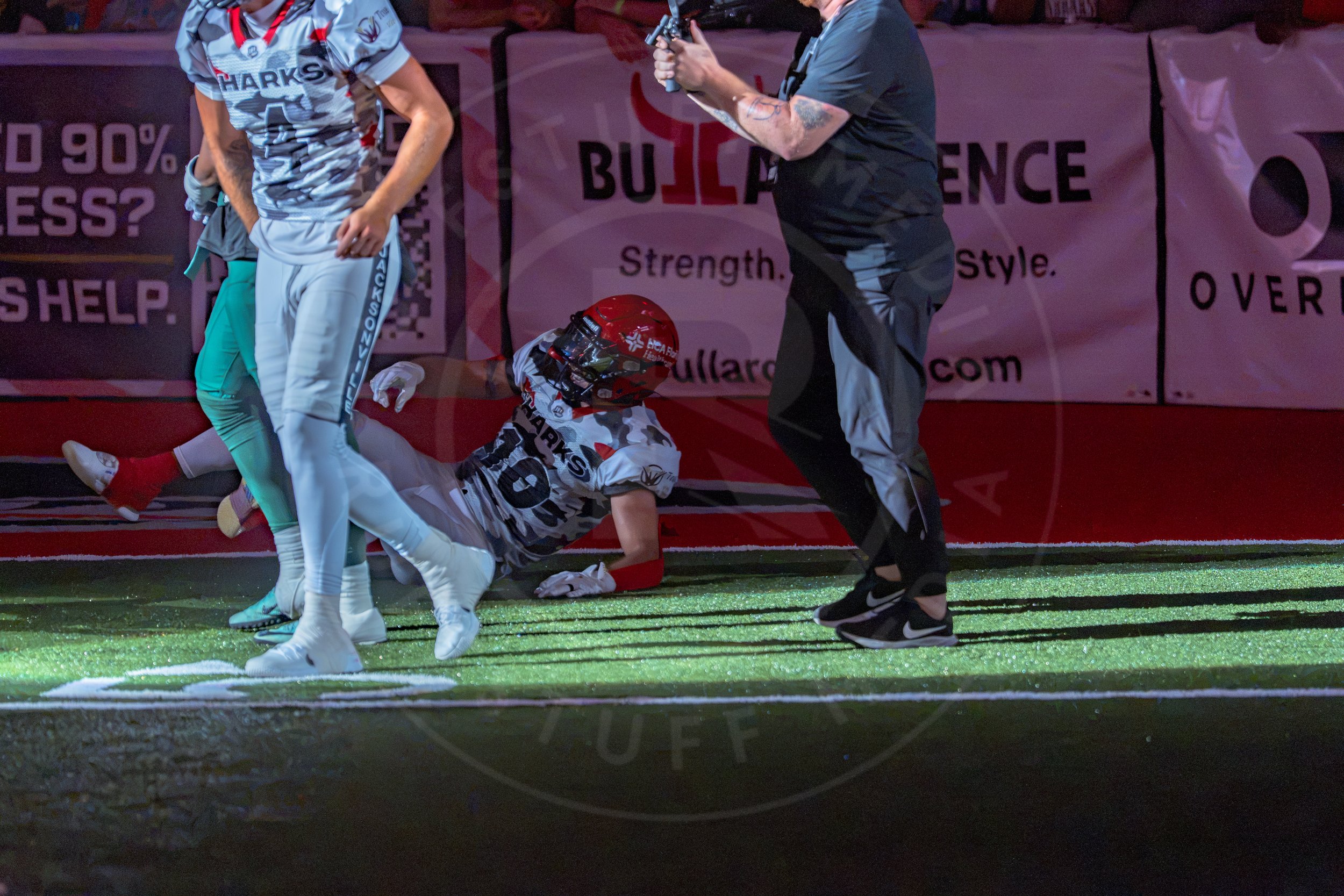 Sharks 260726-220.JPG