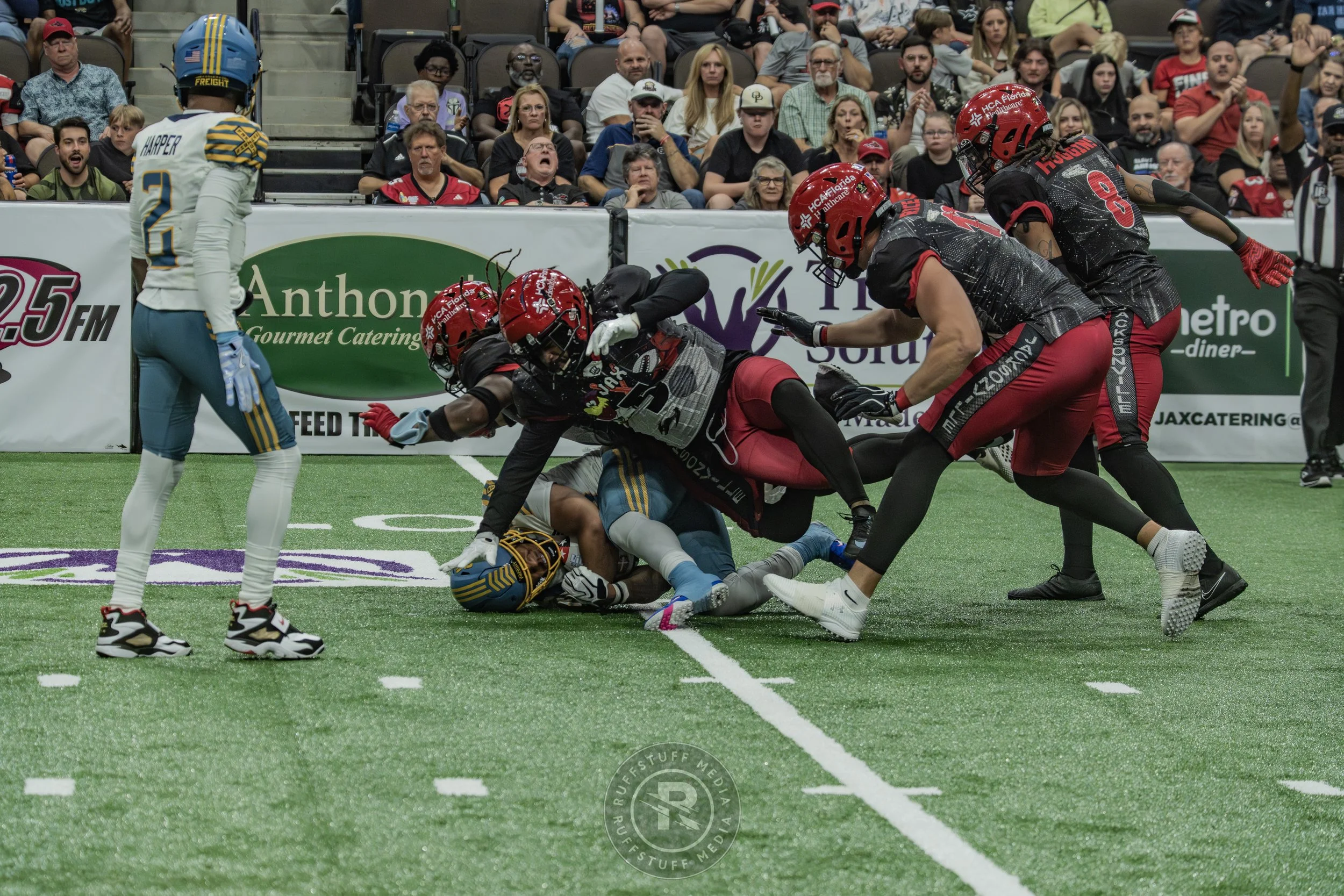 Sharks 260530-534.JPG