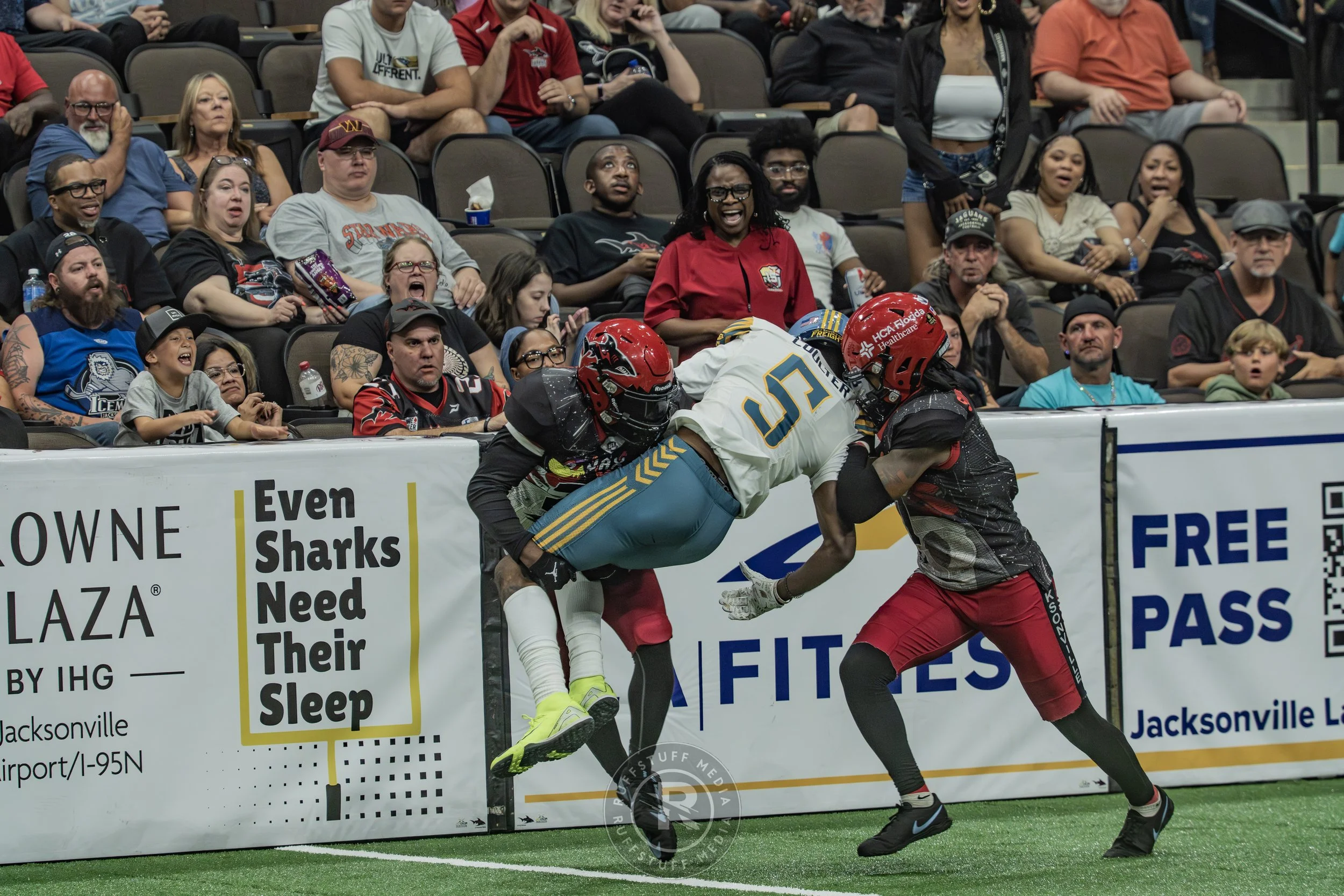 Sharks 260530-553.JPG