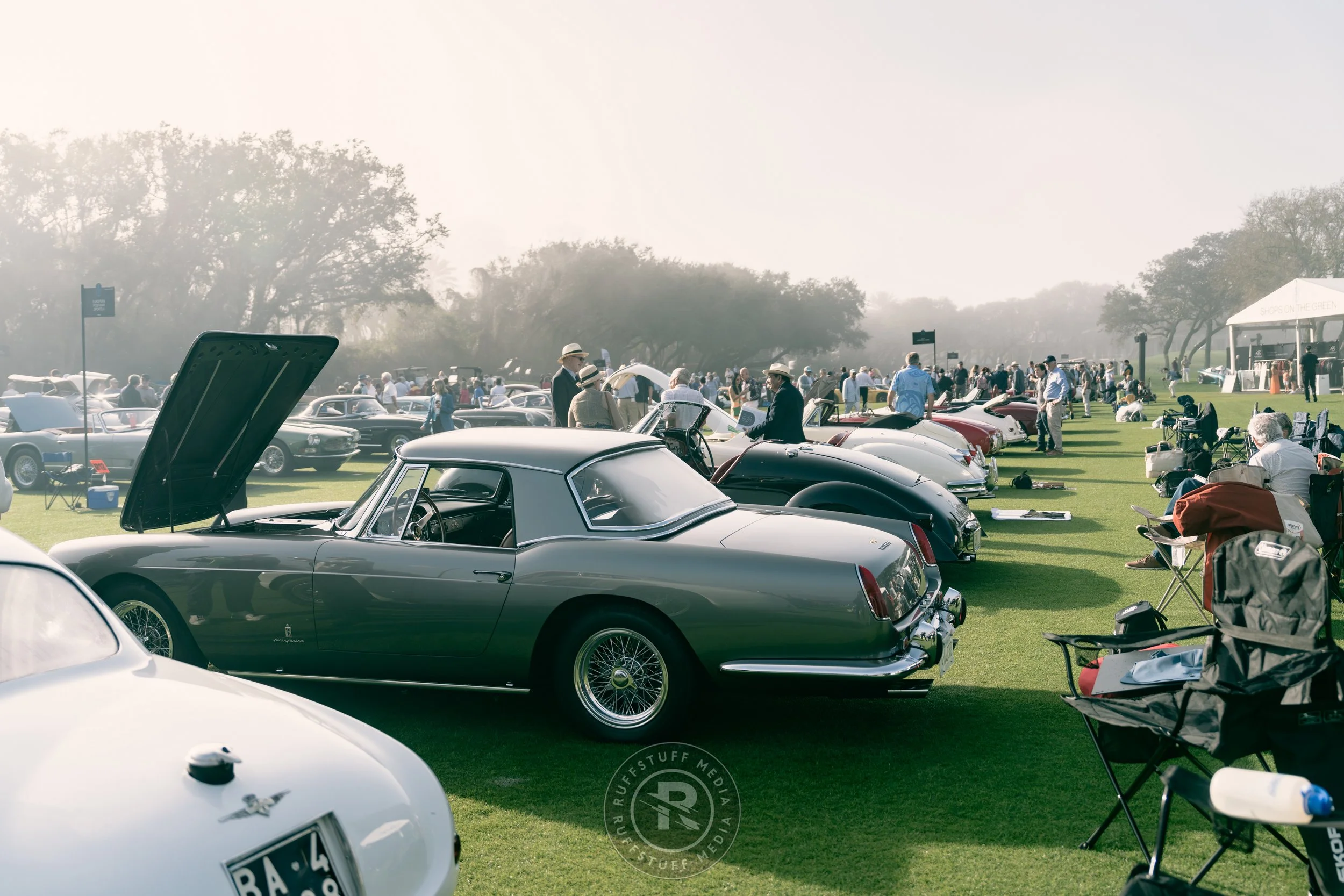 Amelia 260307-19_resize.JPG