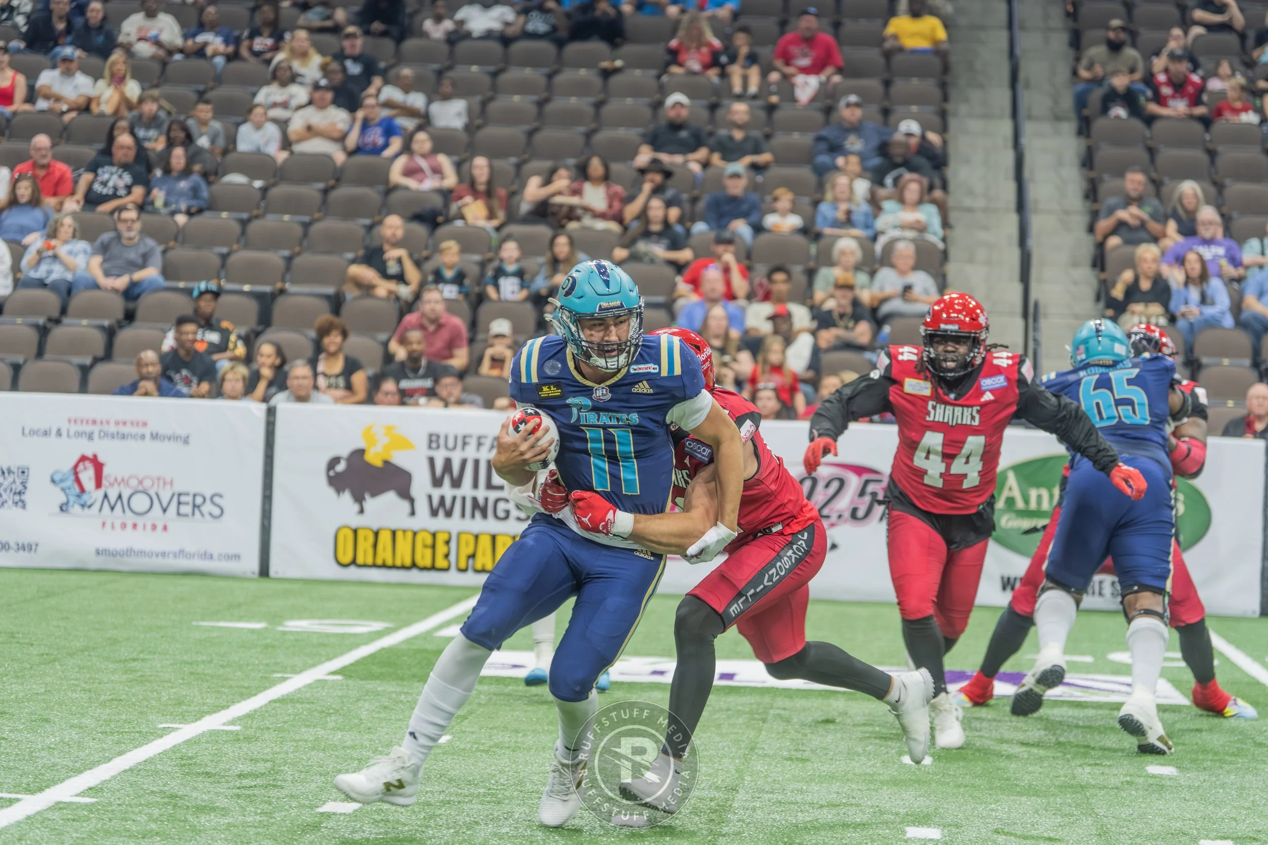 Sharks 260417-119.JPG