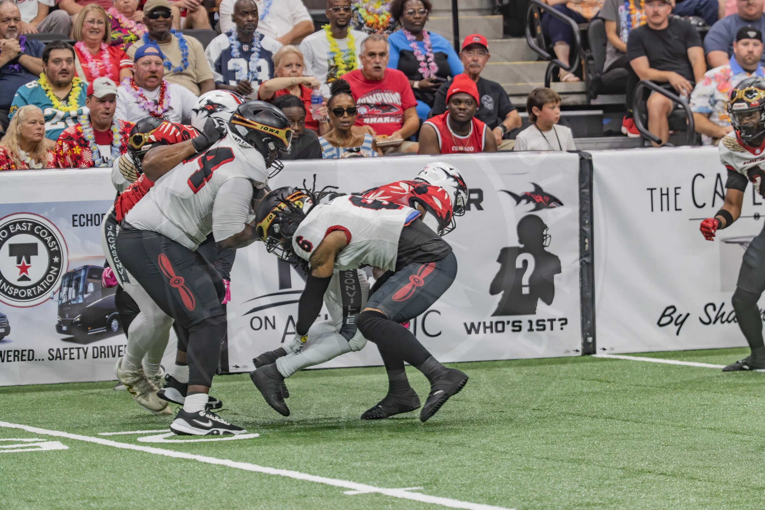 Sharks 260718-128.JPG