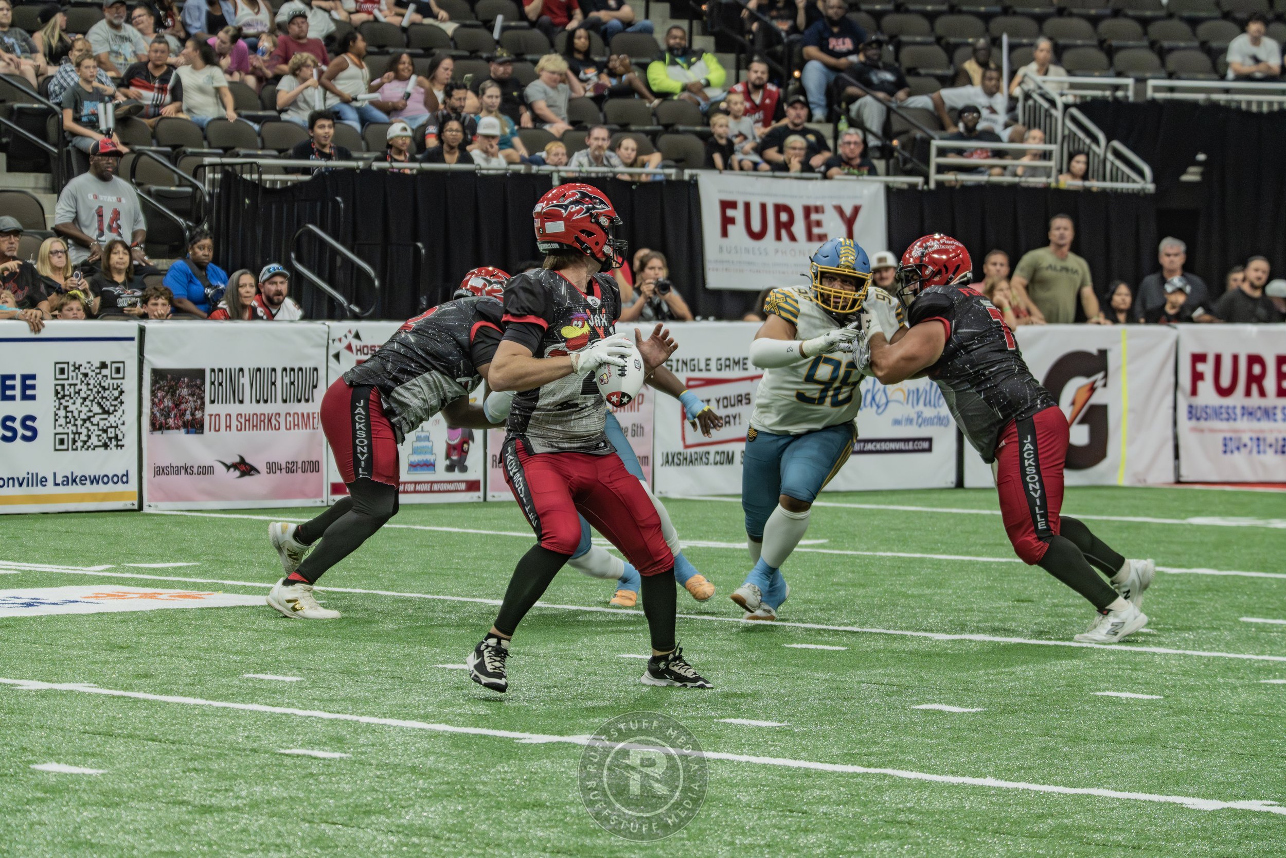 Sharks 260530-650.JPG
