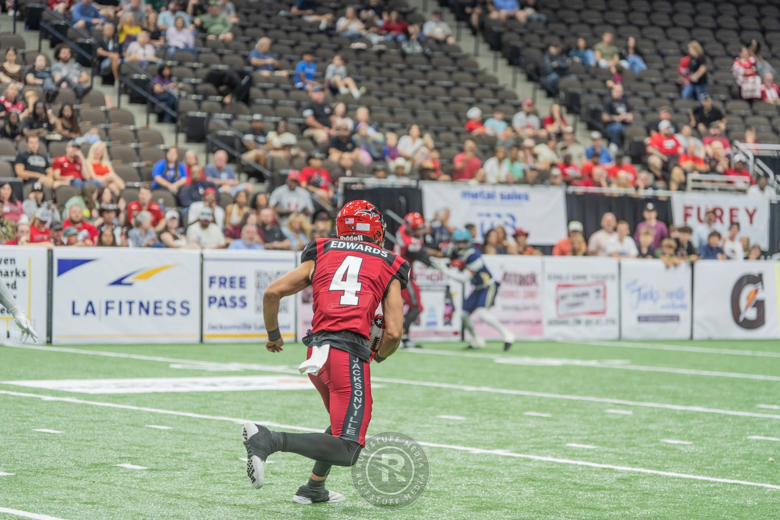 Sharks 260417-511.JPG