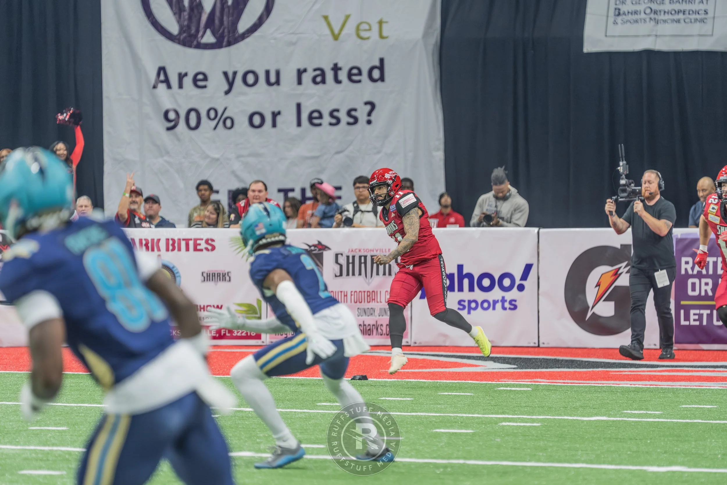 Sharks 260417-107.JPG