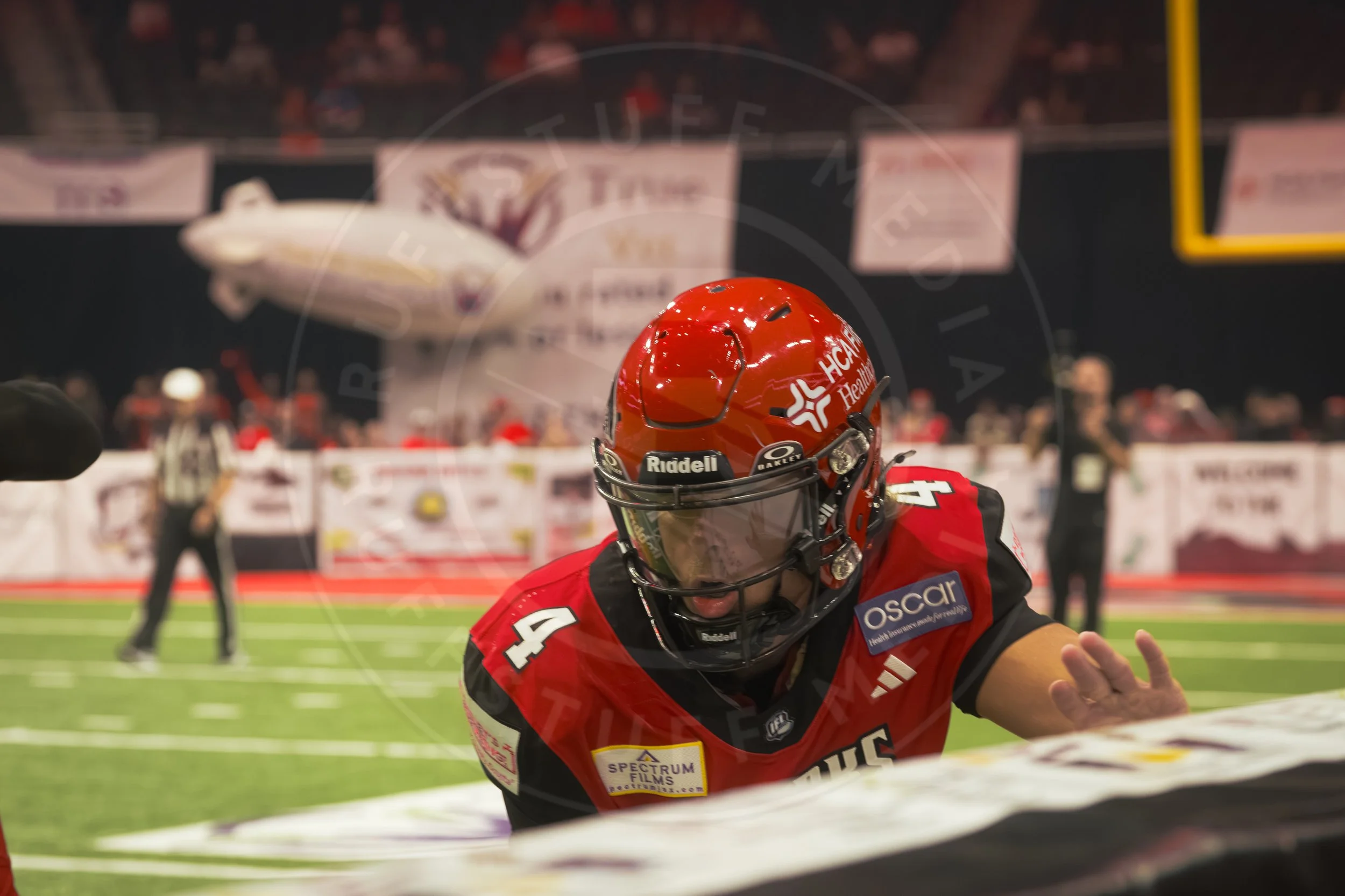 Sharks 260801-68.JPG