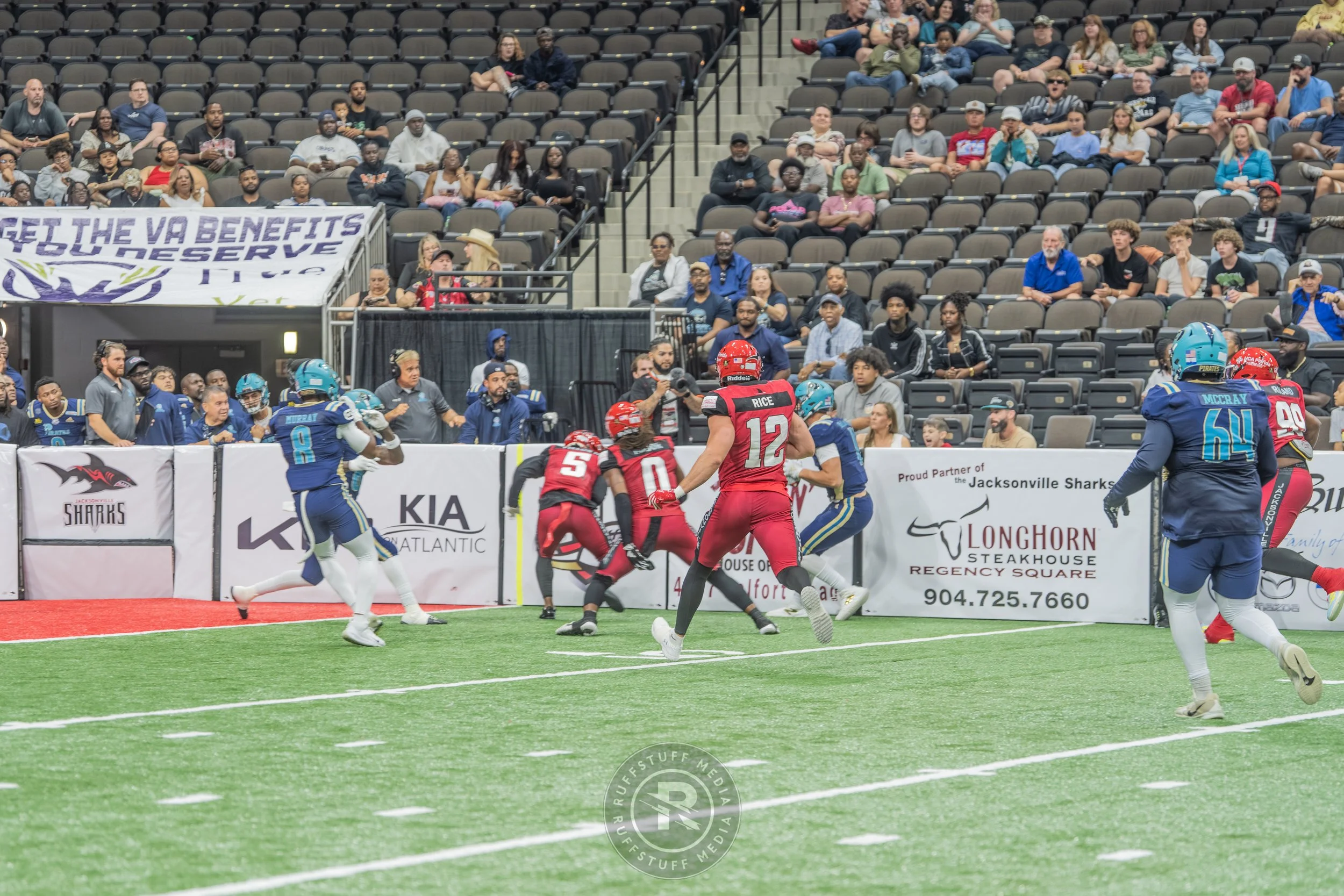 Sharks 260417-237.JPG