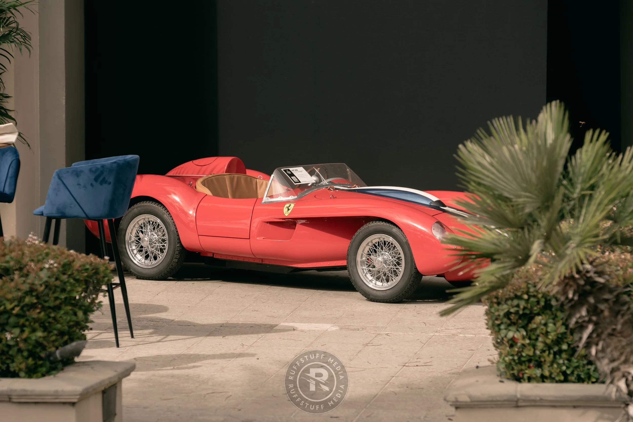 Amelia 260306-12.JPG