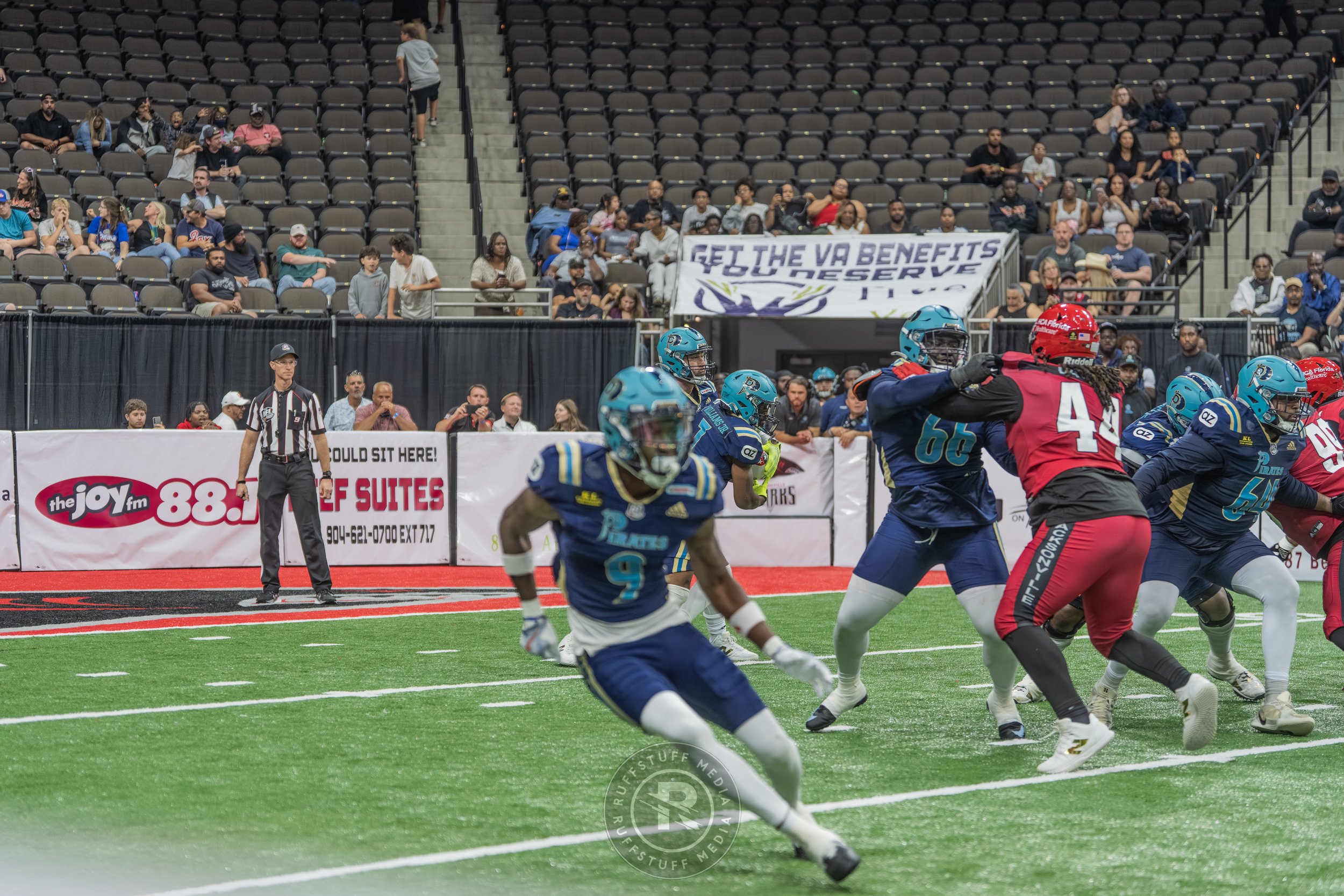 Sharks 260417-343.JPG