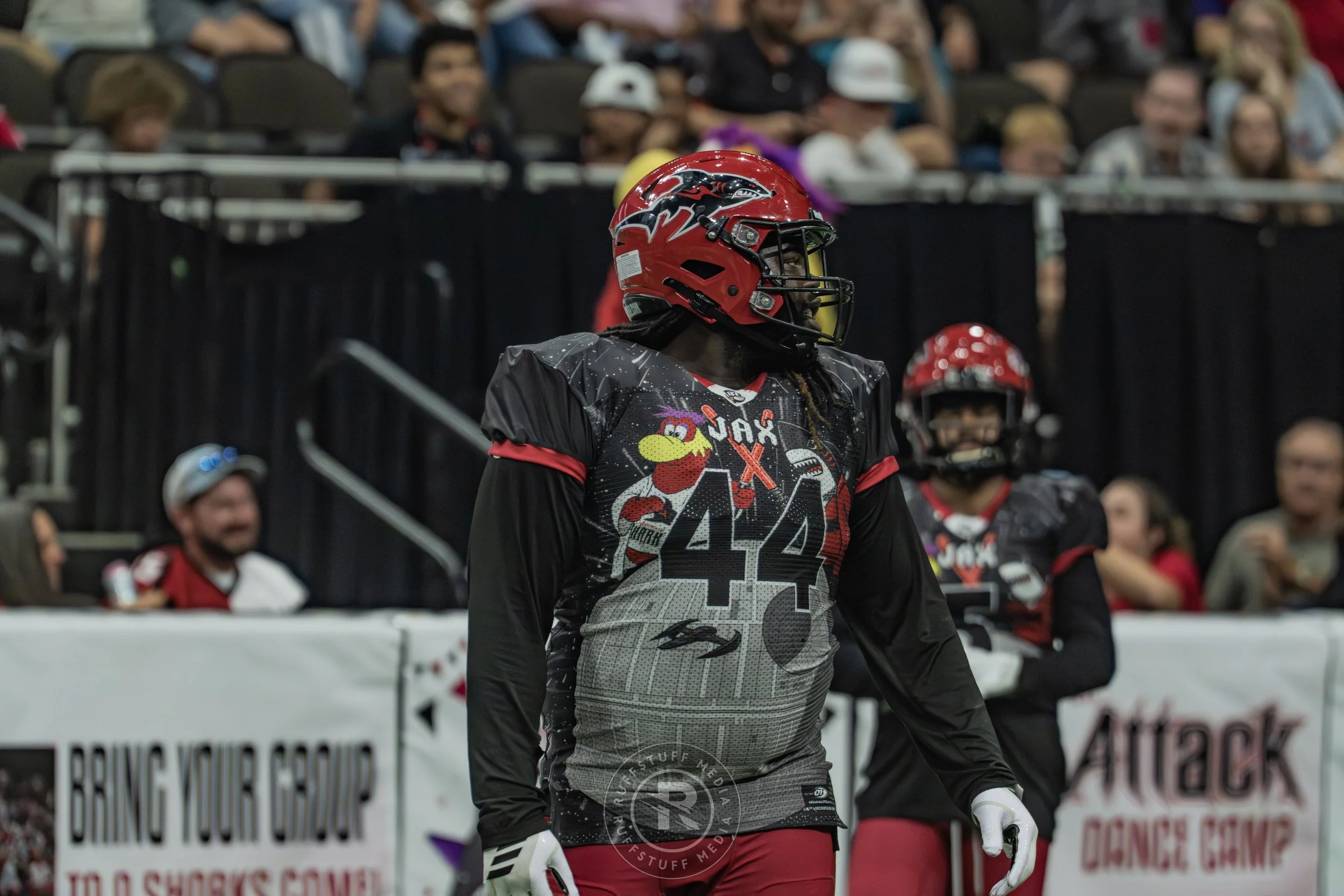 Sharks 260530-566.JPG