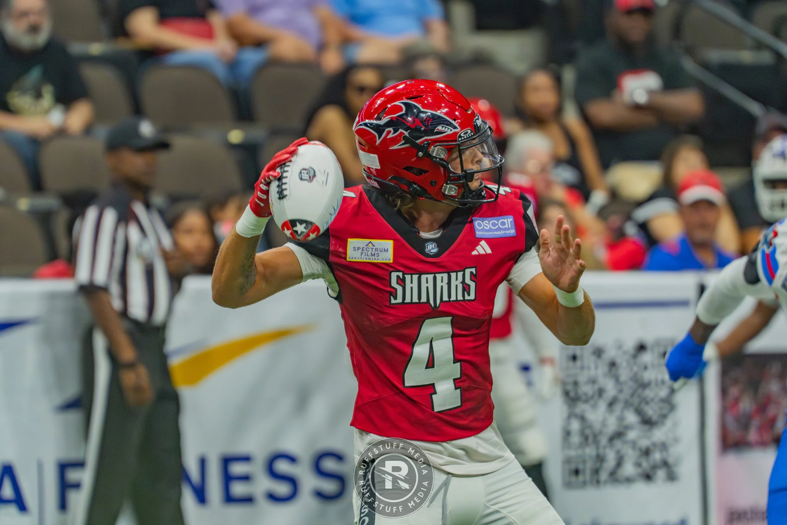 Sharks 260606-448.jpg