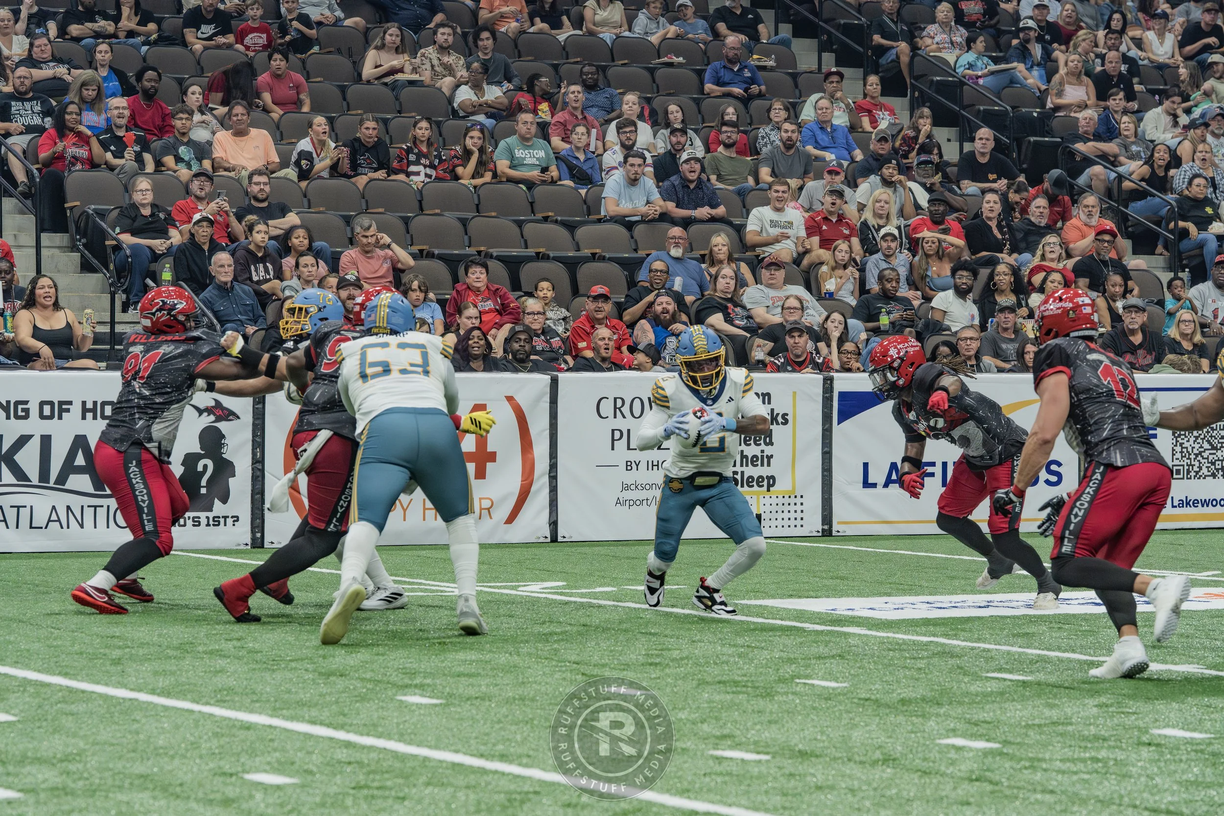 Sharks 260530-274.JPG
