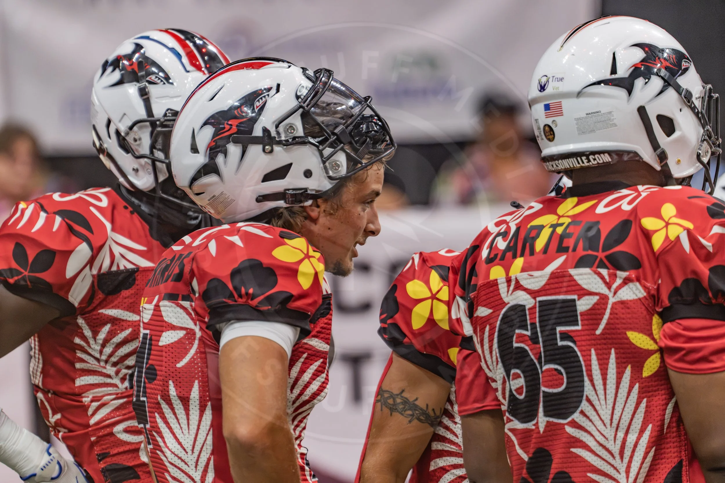 Sharks 260718-156.JPG