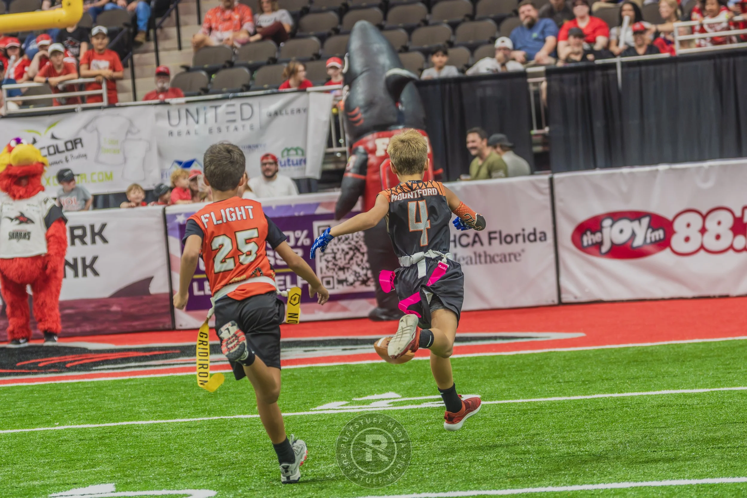 Sharks 260628-359.JPG