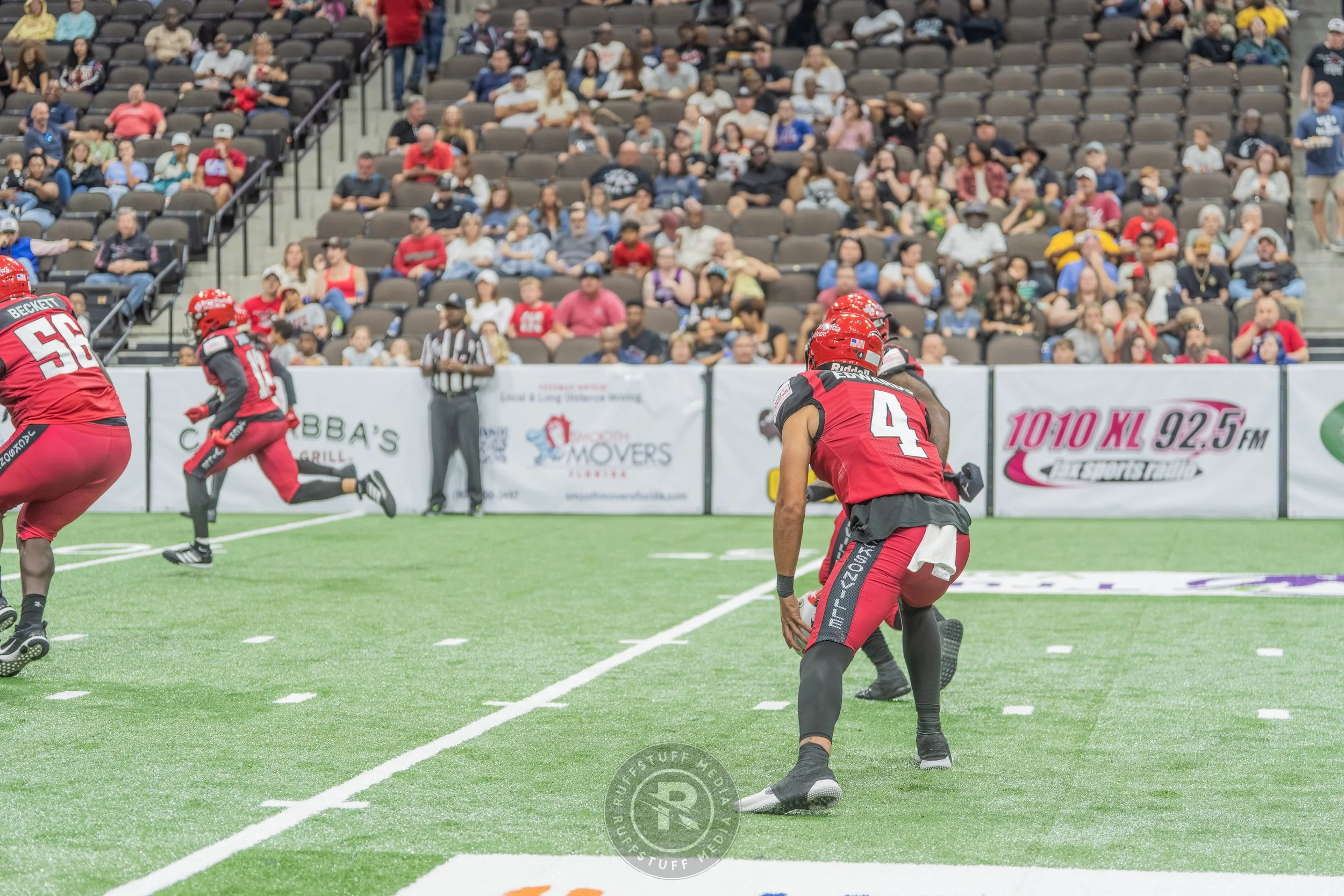 Sharks 260417-448_resize.JPG