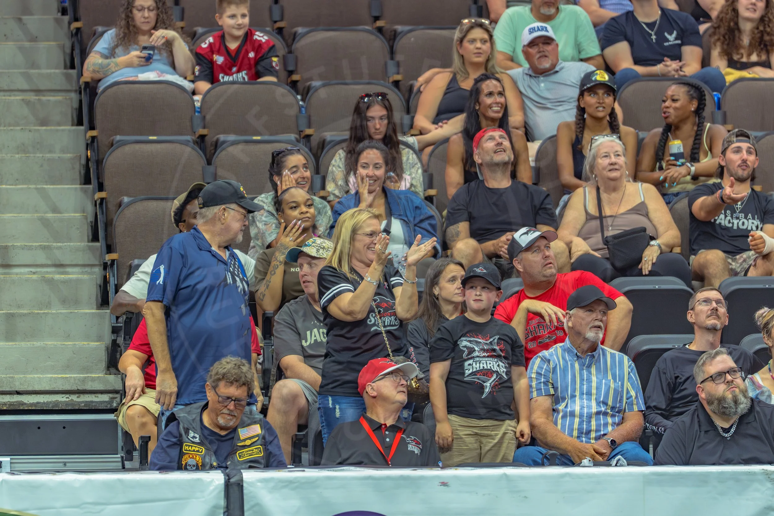 Sharks 260726-217.JPG