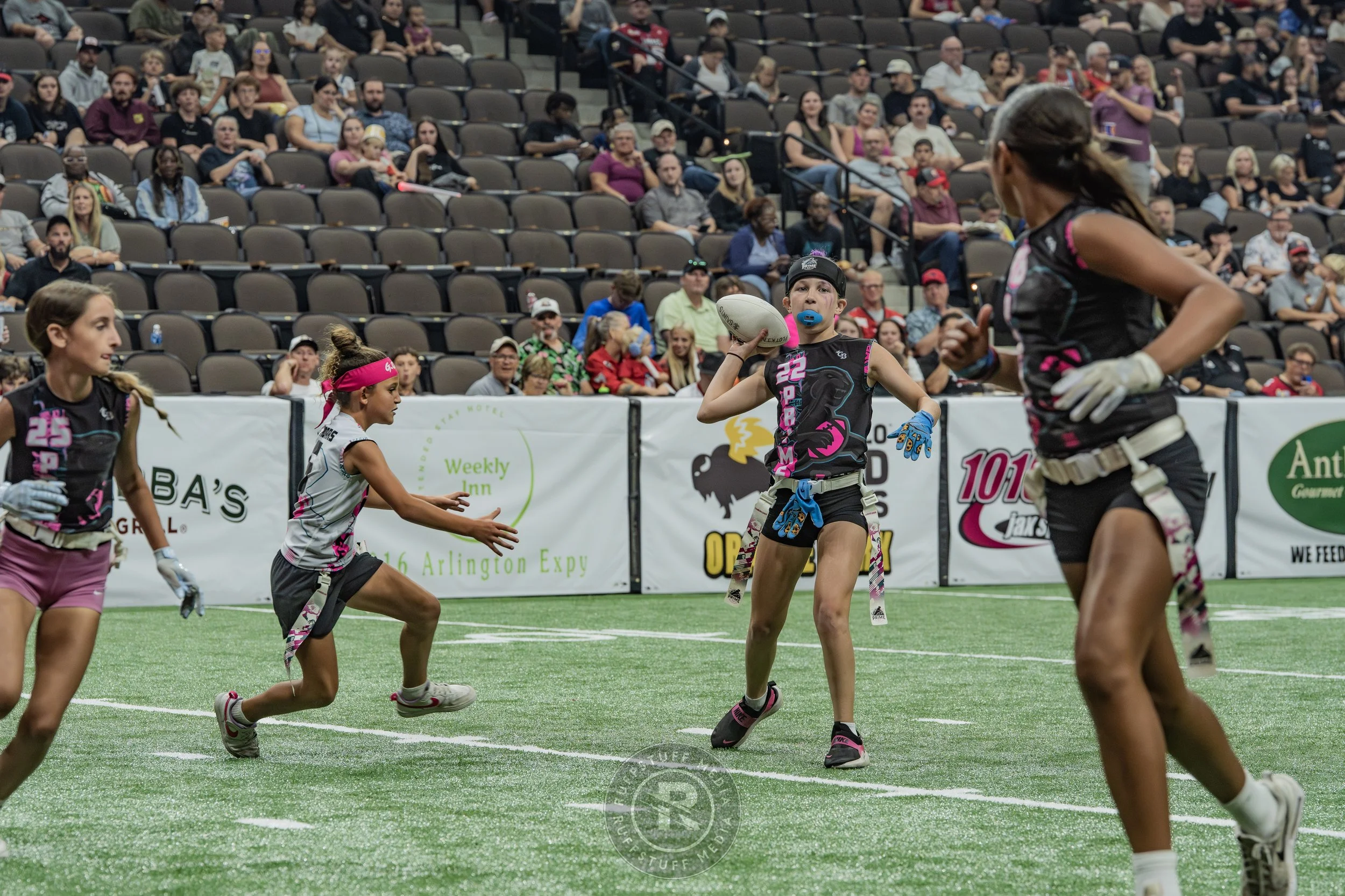 Sharks 260530-416.JPG