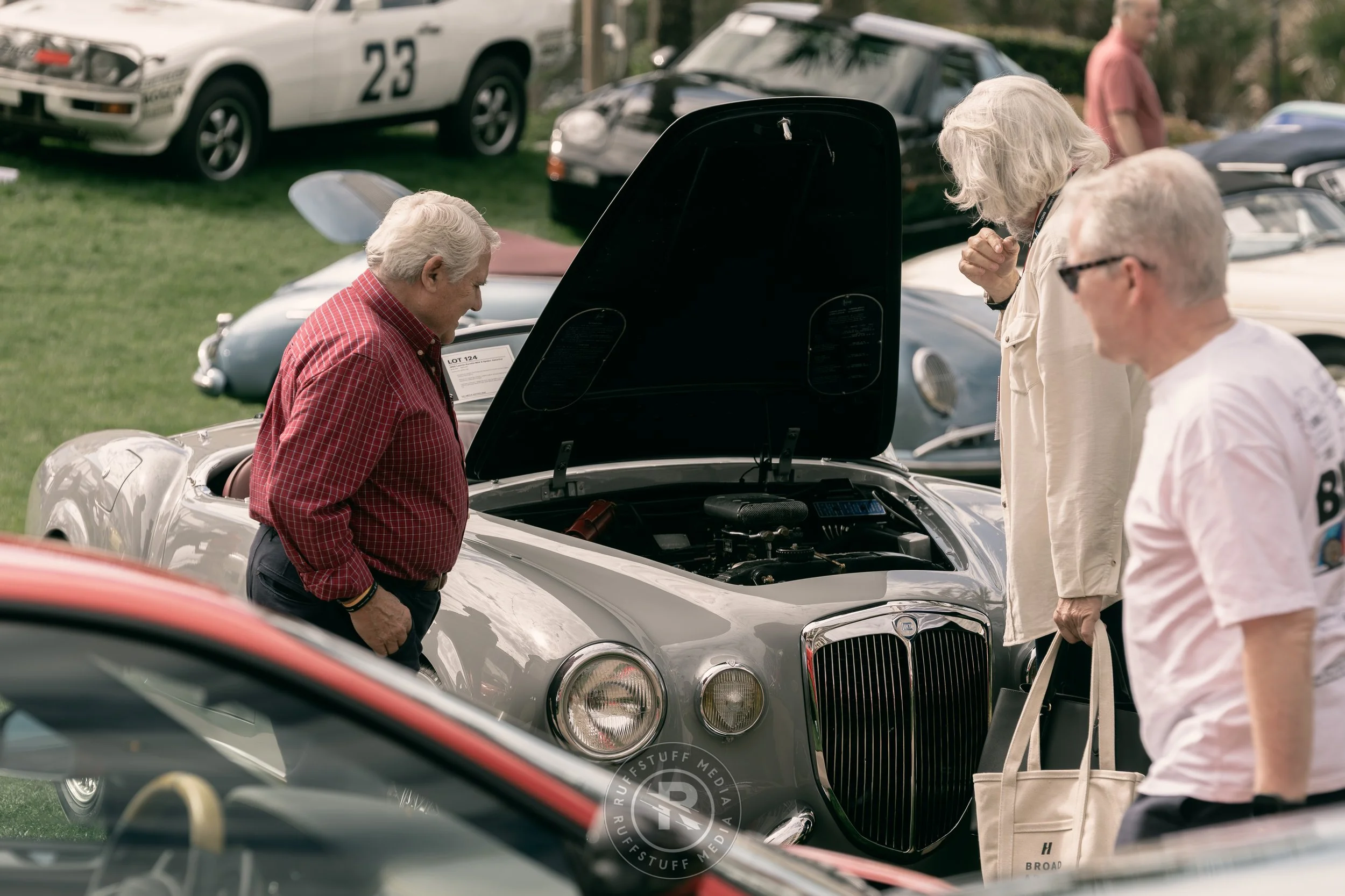 Amelia 260306-13.JPG