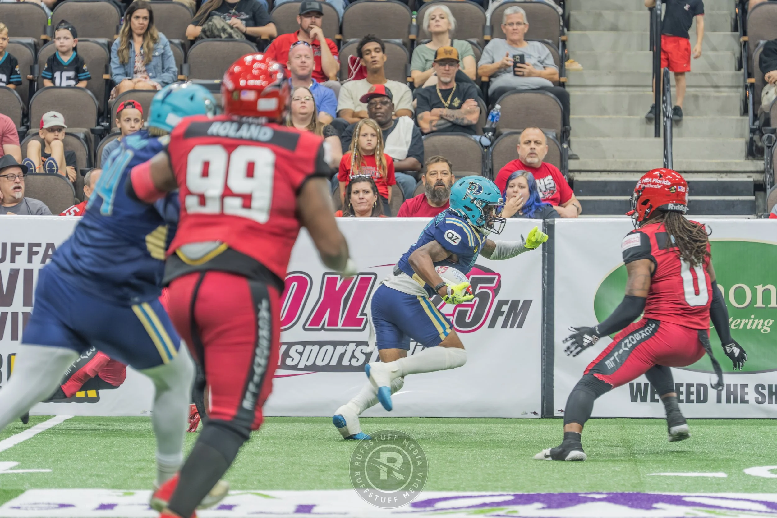 Sharks 260417-124.JPG