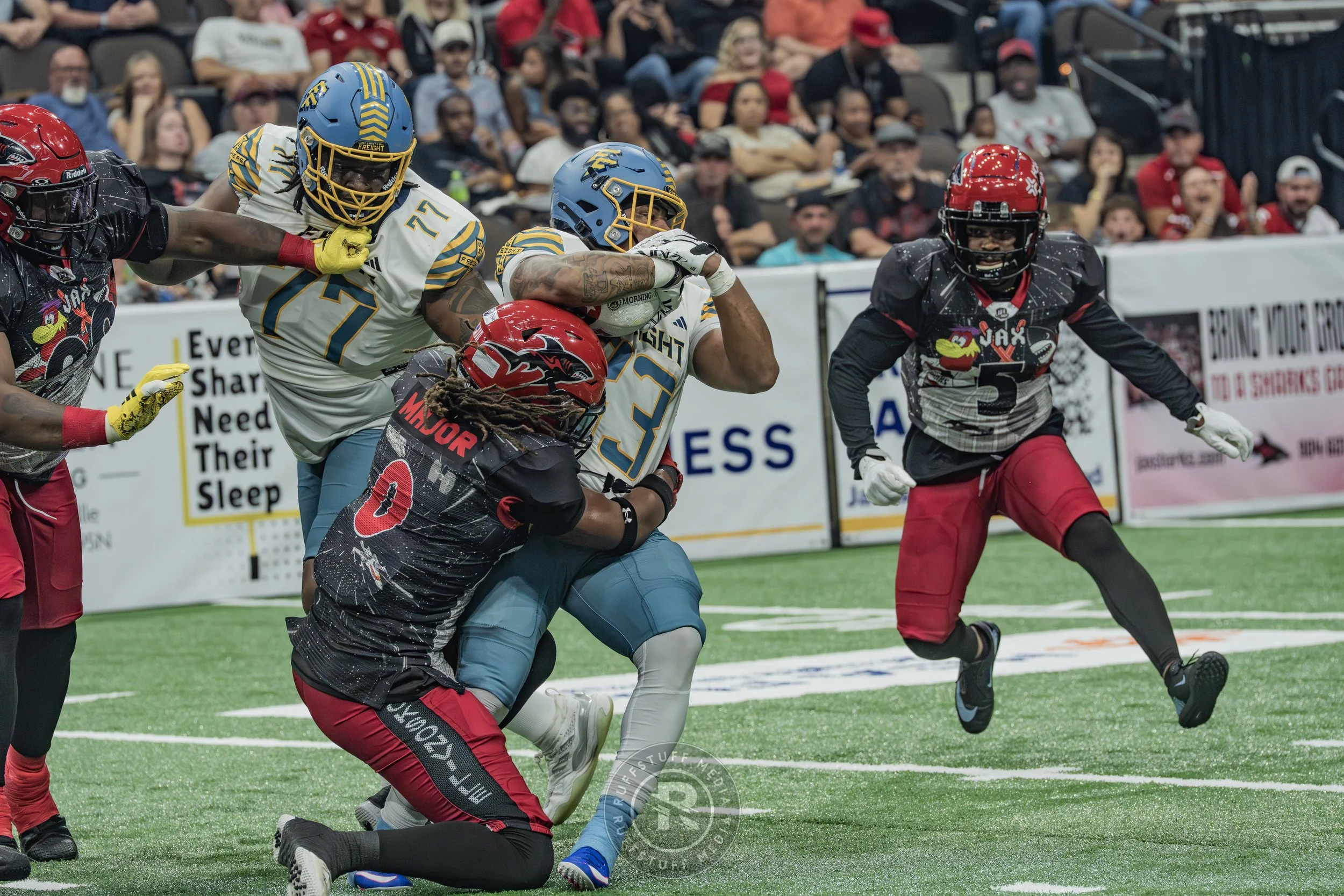Sharks 260530-231.JPG