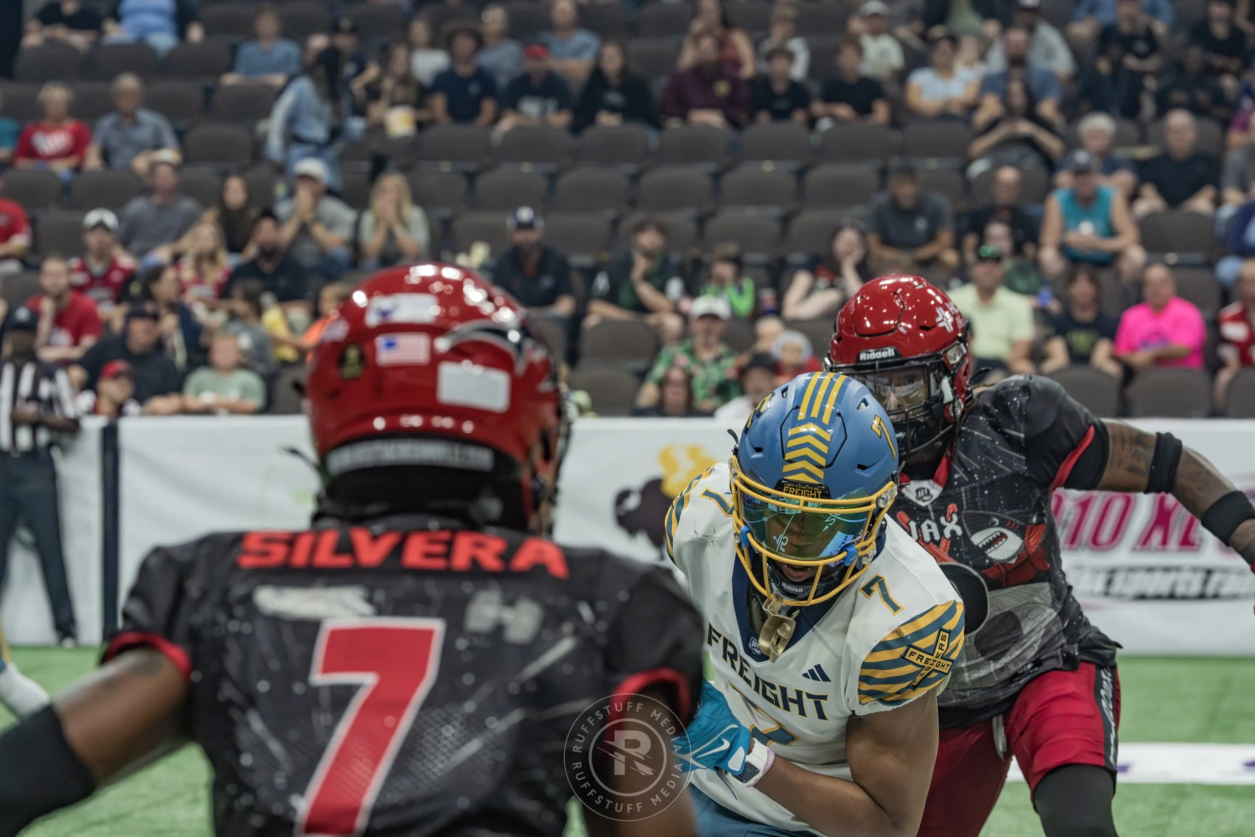 Sharks 260530-137.JPG