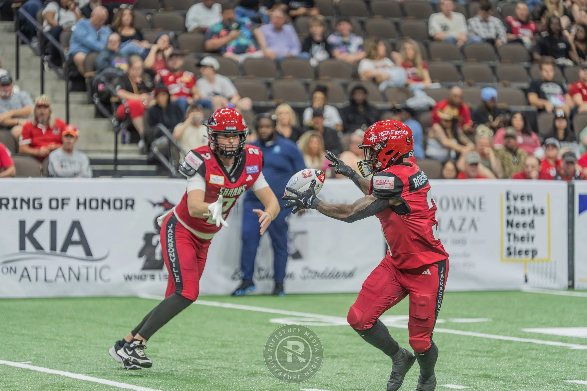 Sharks 260417-373.JPG