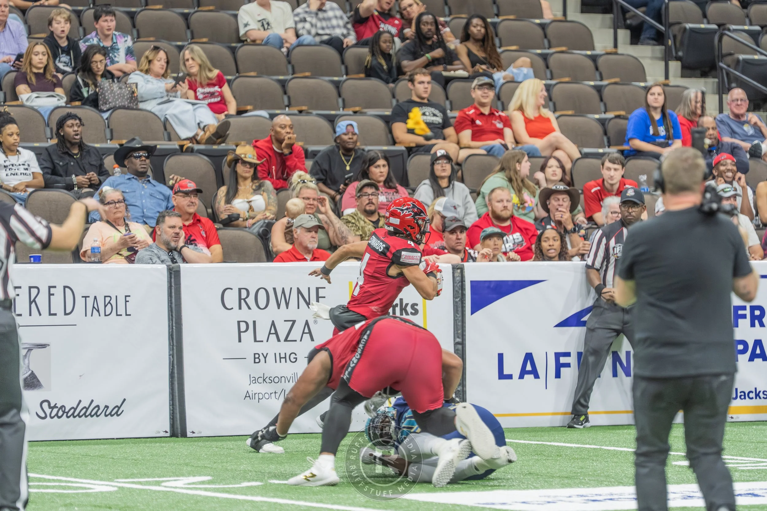 Sharks 260417-507.JPG