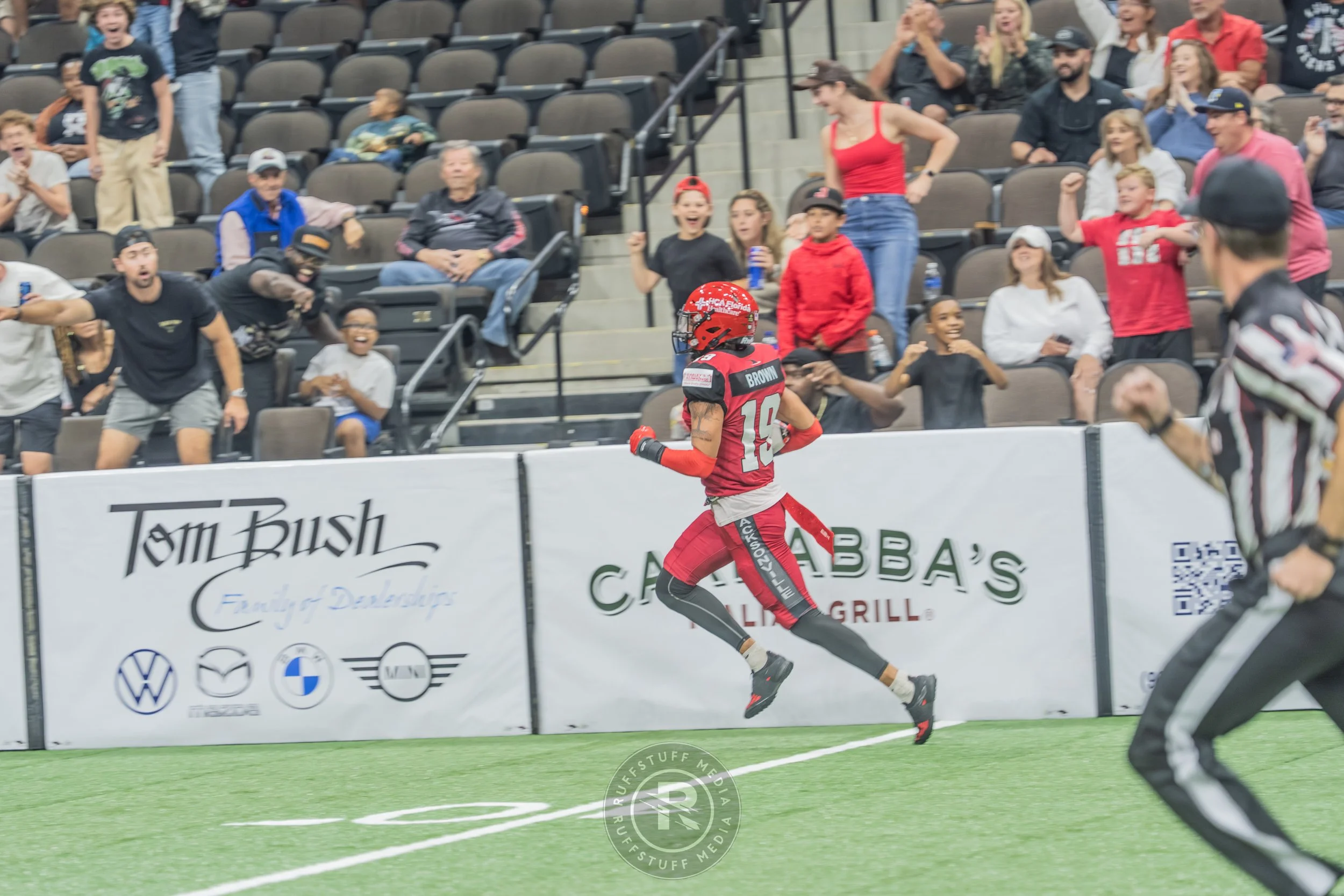 Sharks 260417-142.JPG