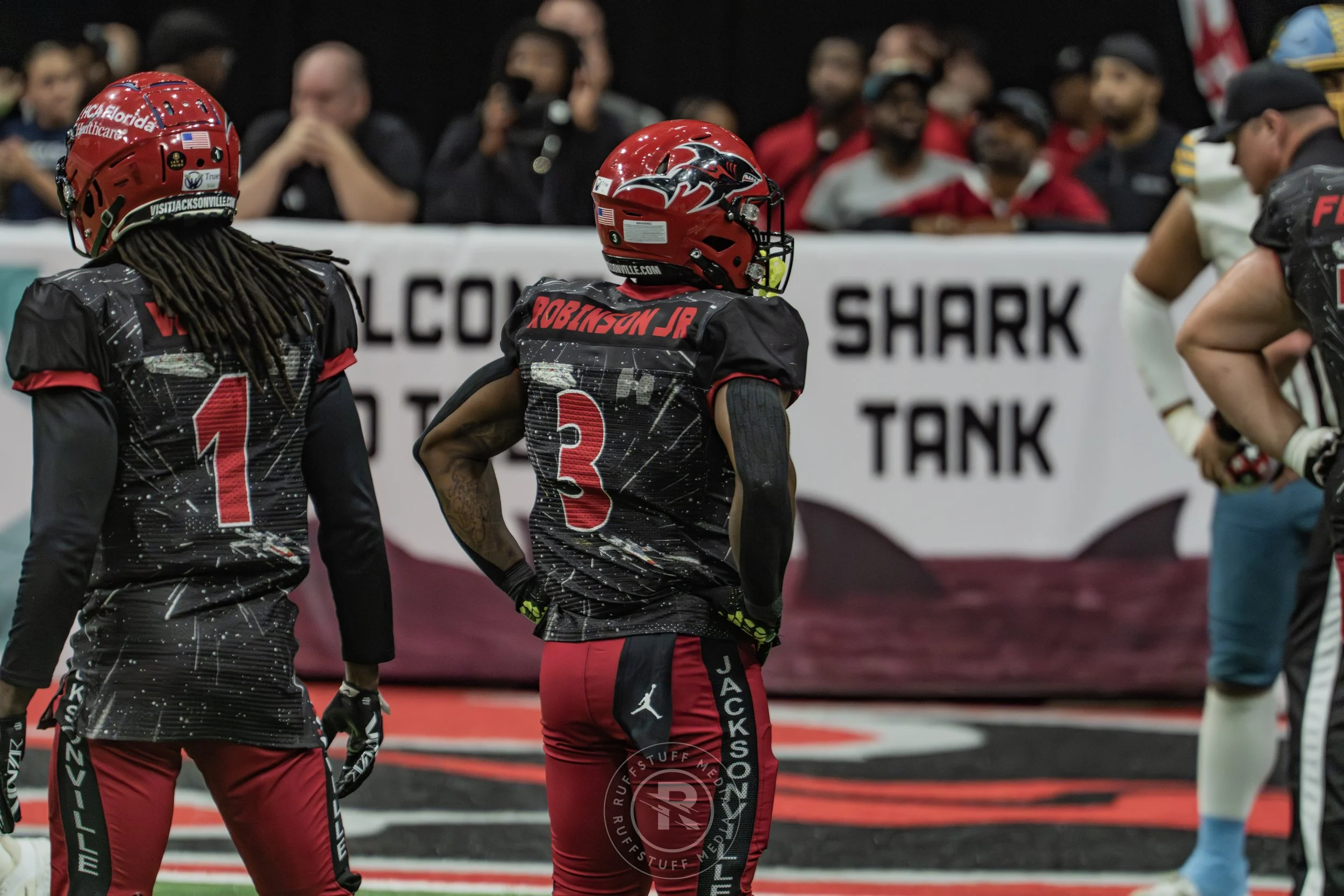 Sharks 260530-655.JPG