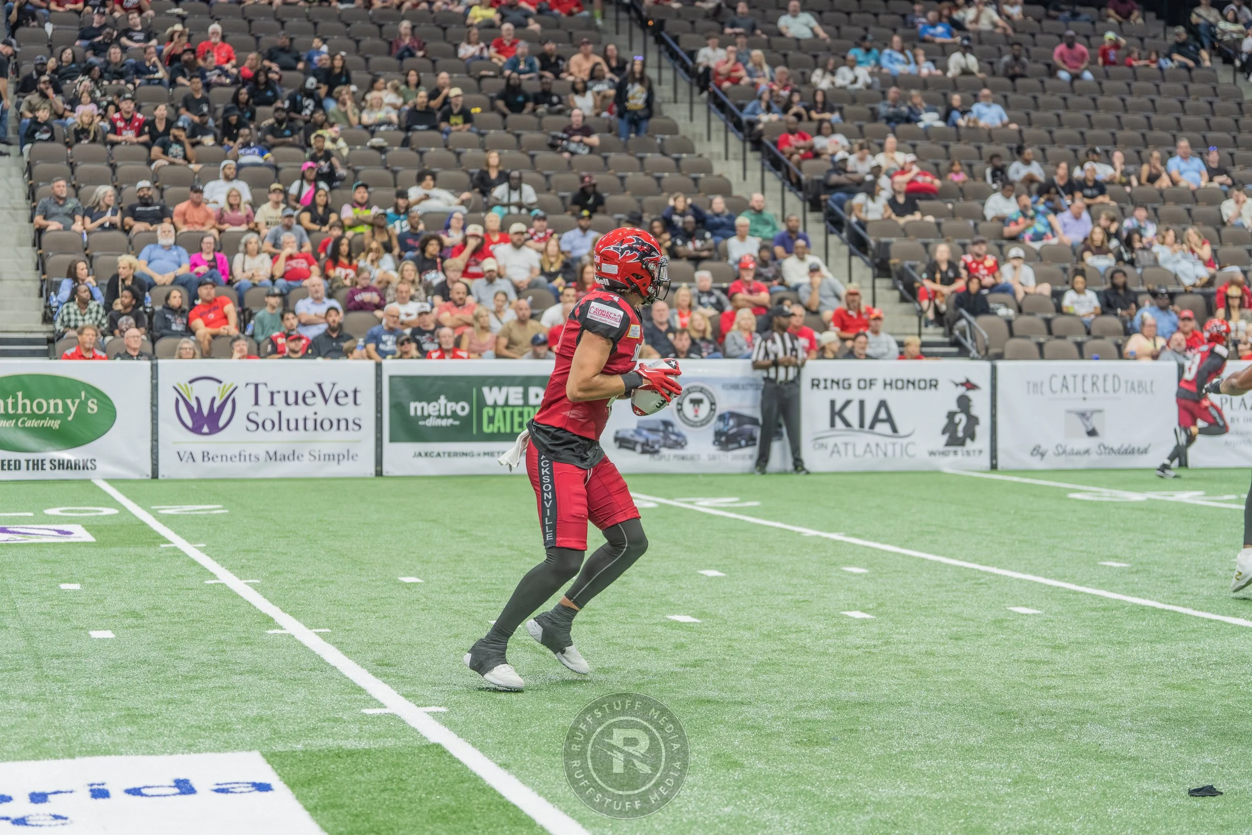 Sharks 260417-510_resize.JPG