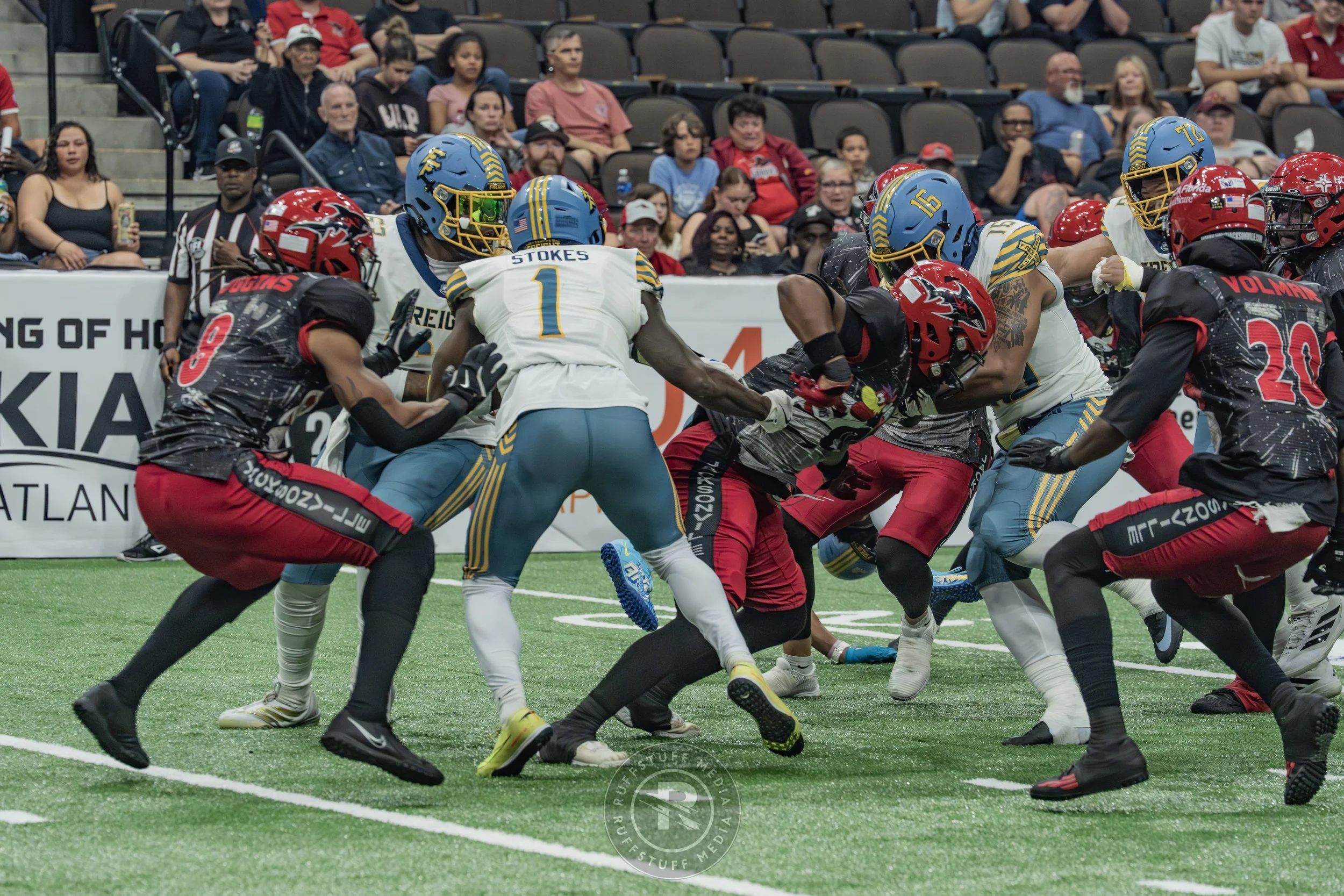 Sharks 260530-271.JPG