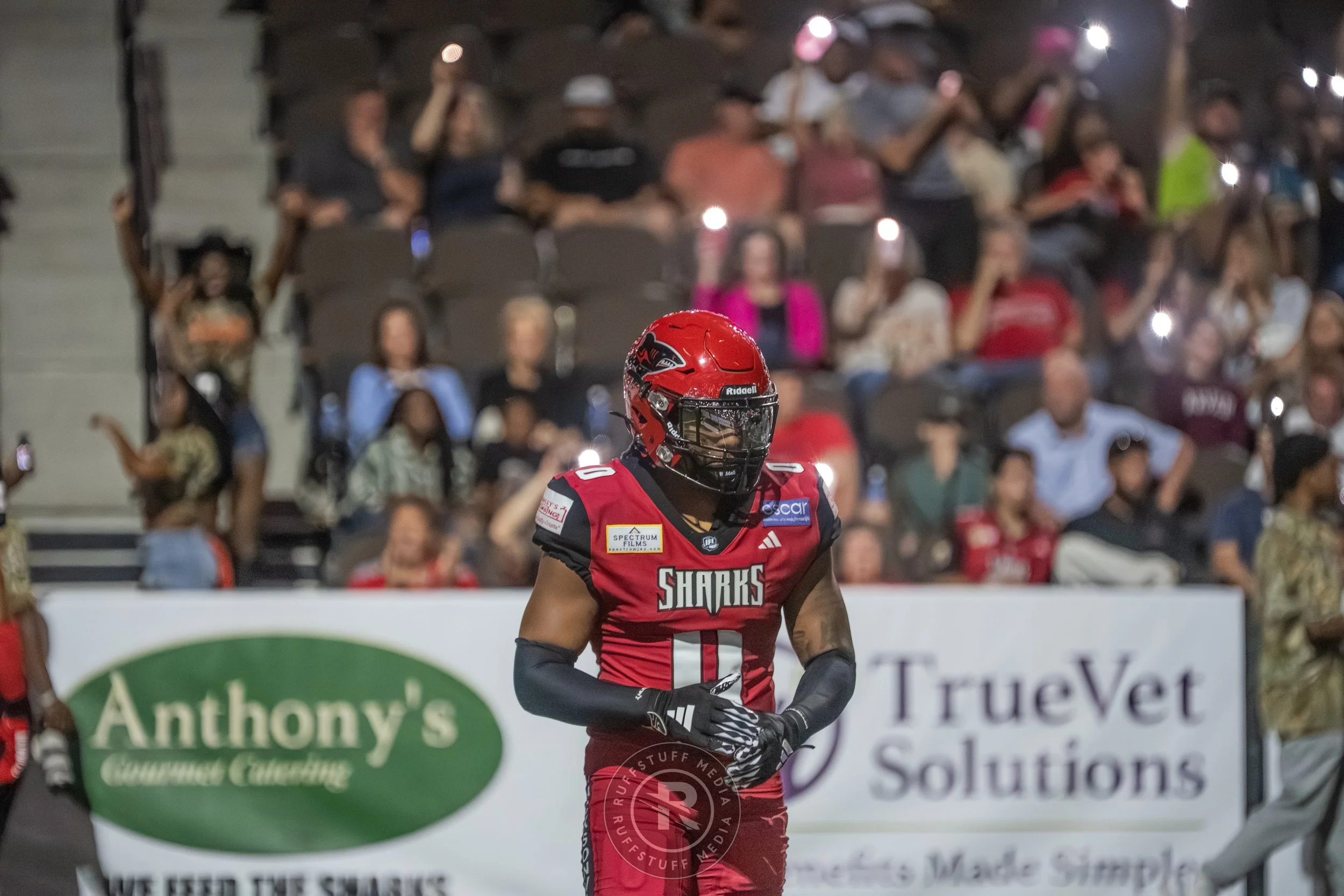 Sharks 260417-451_resize.JPG