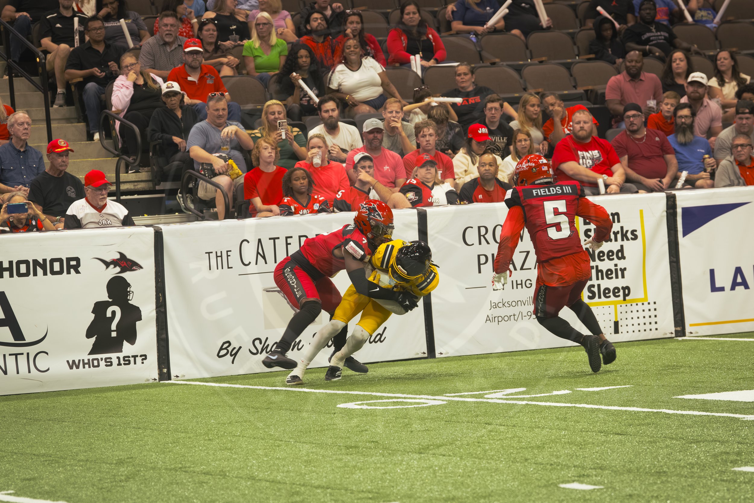 Sharks 260801-118.JPG