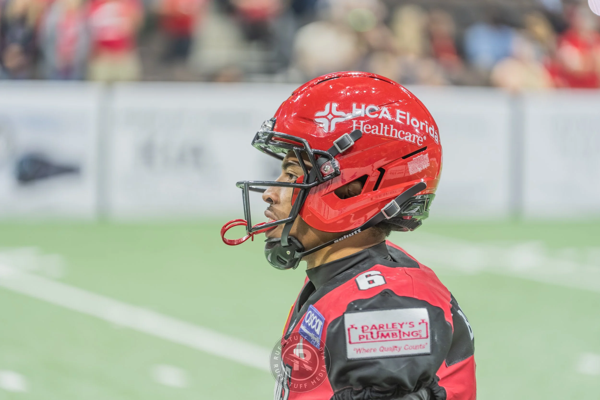 Sharks 260417-91.JPG