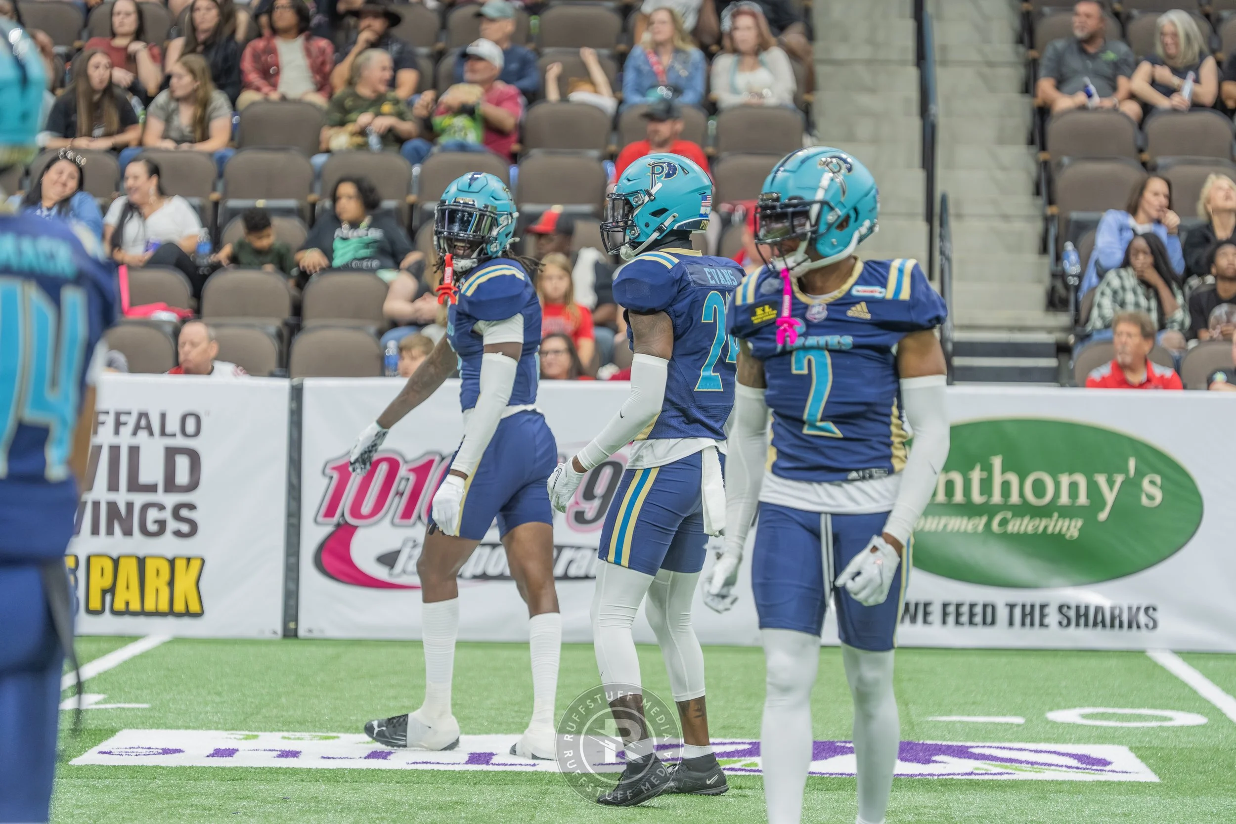 Sharks 260417-471.JPG