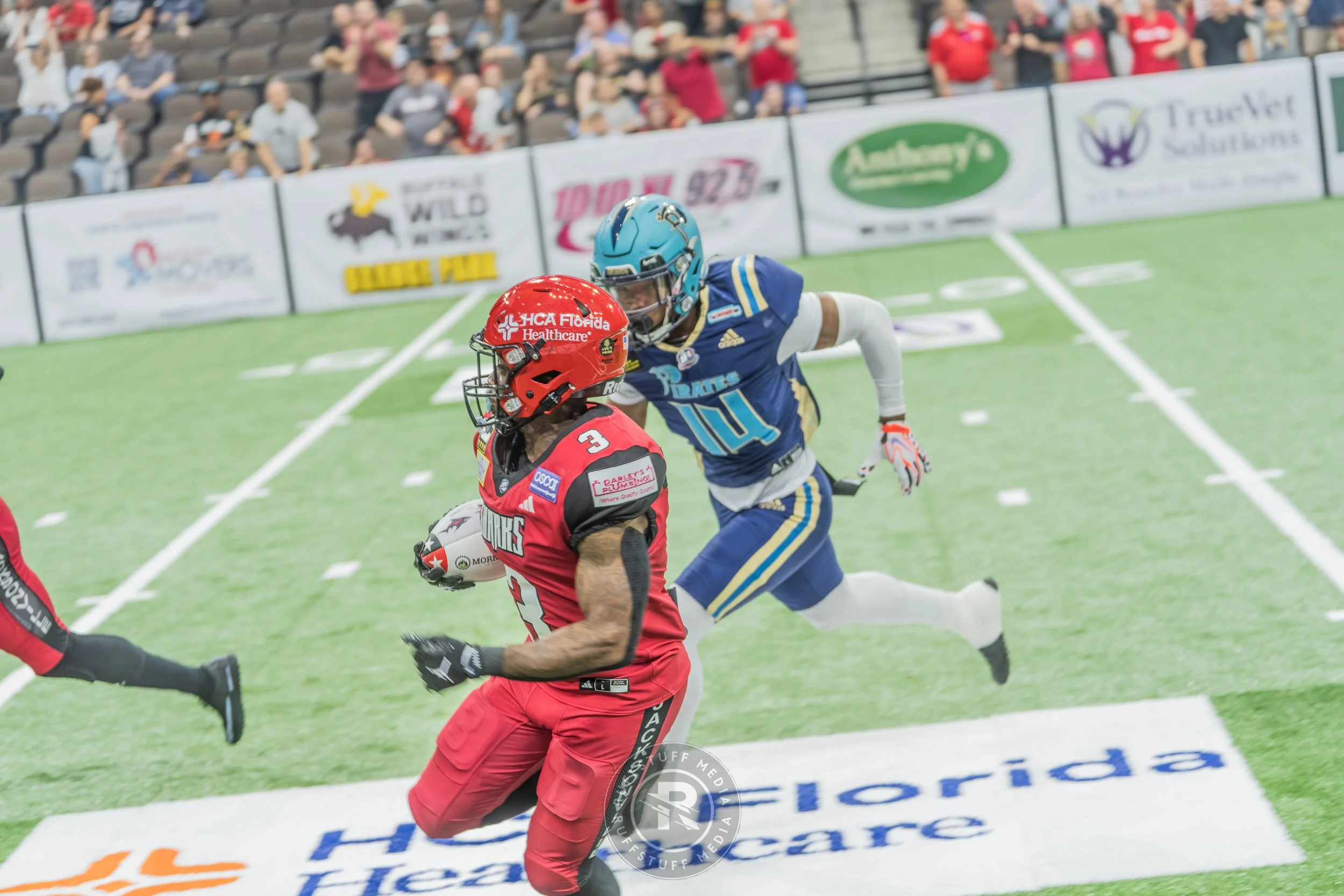 Sharks 260417-98.JPG