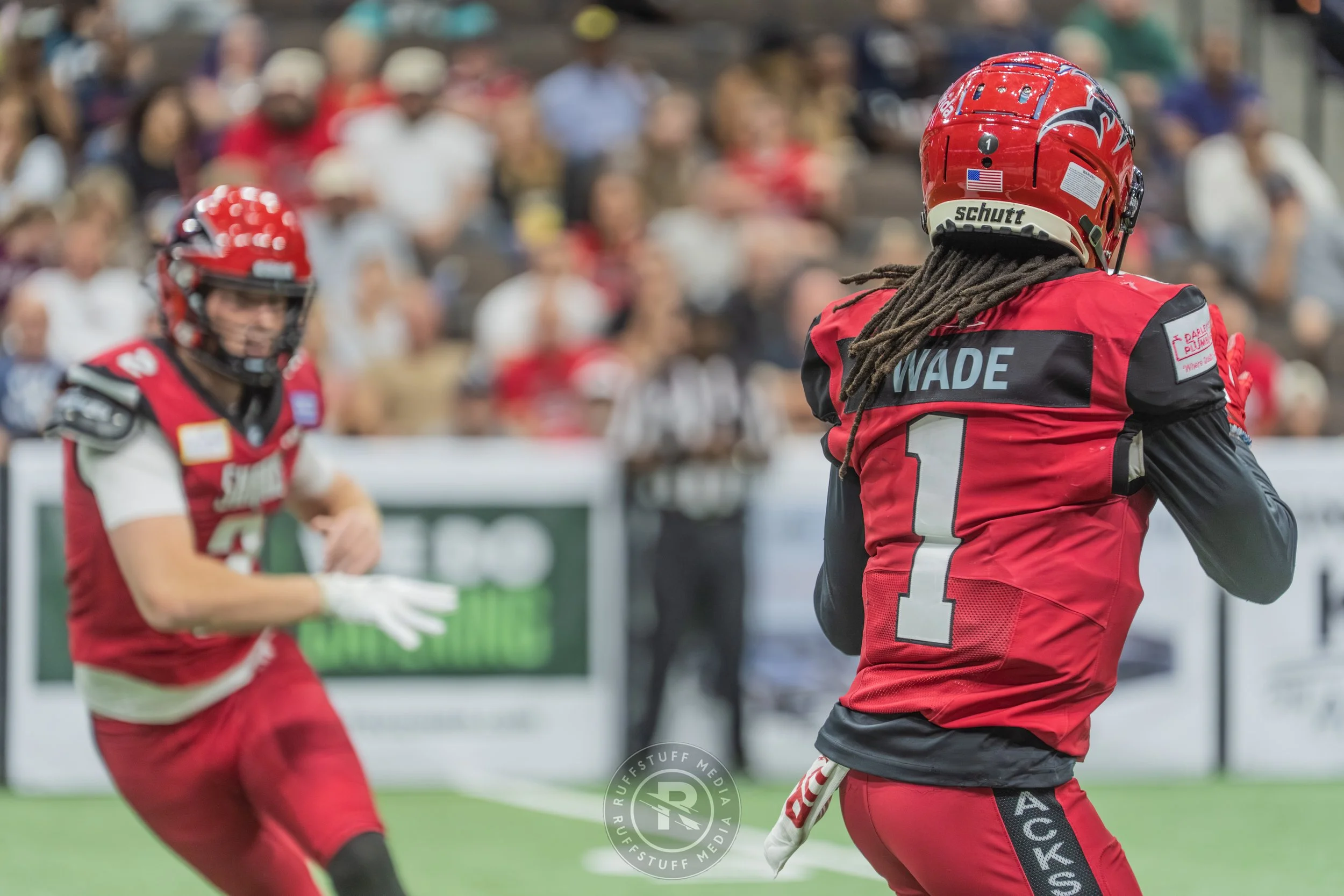 Sharks 260417-494.JPG