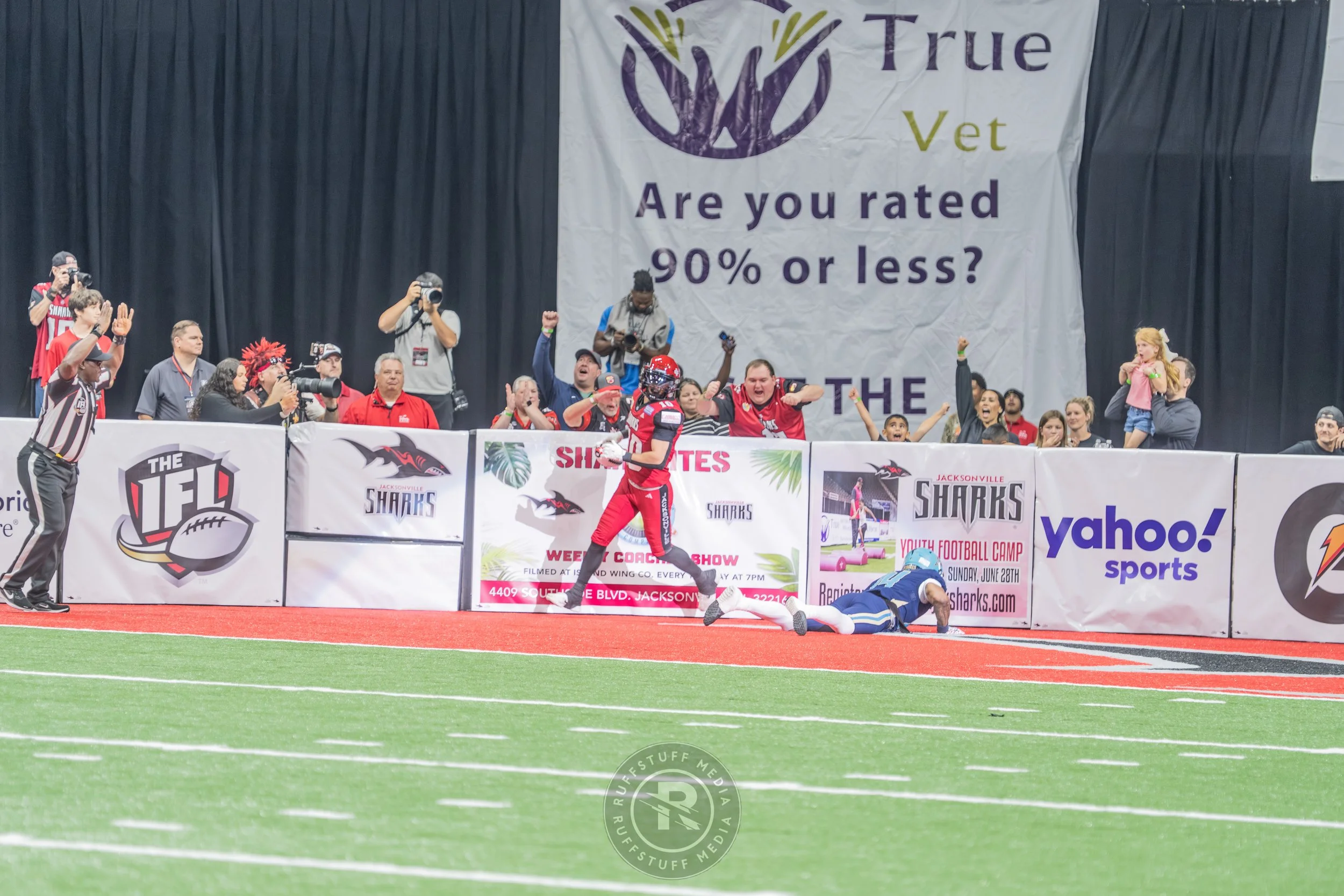 Sharks 260417-171.JPG