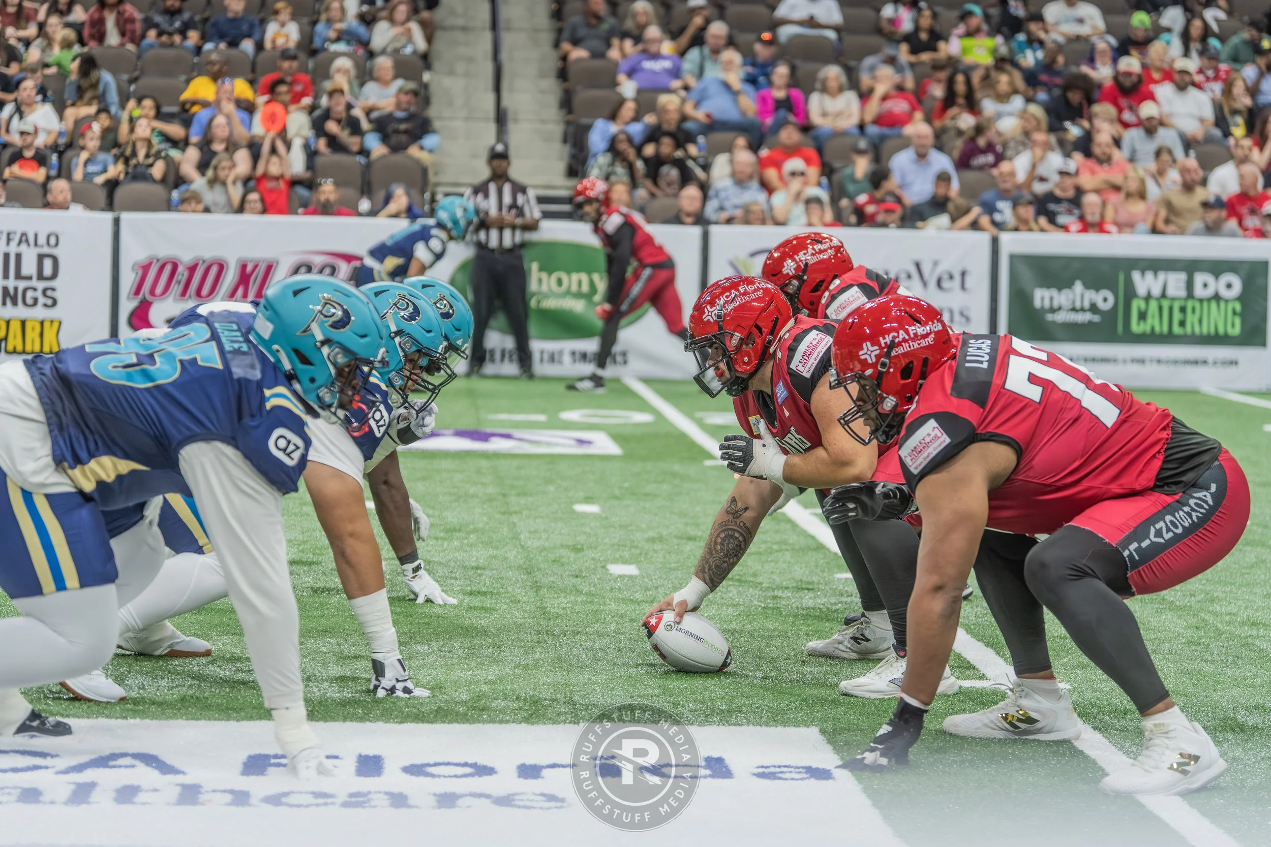 Sharks 260417-378.JPG