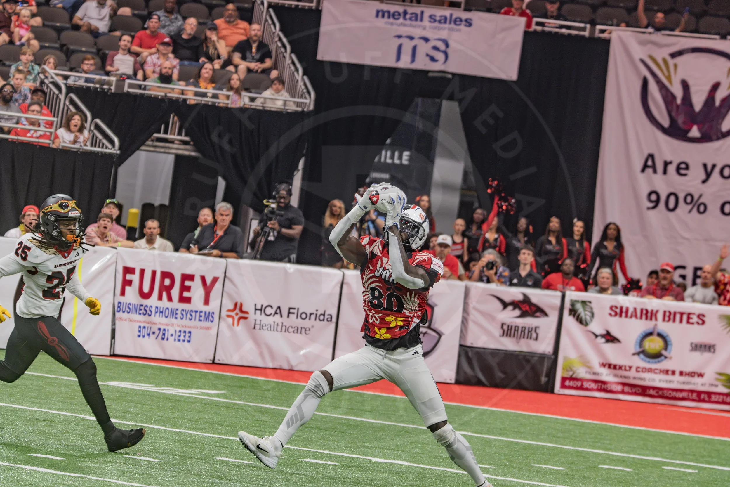 Sharks 260718-137.JPG