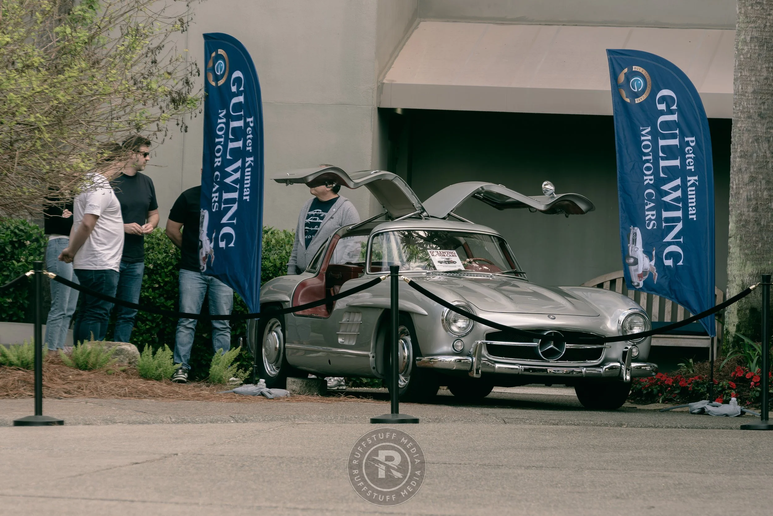 Amelia 260306-16.JPG